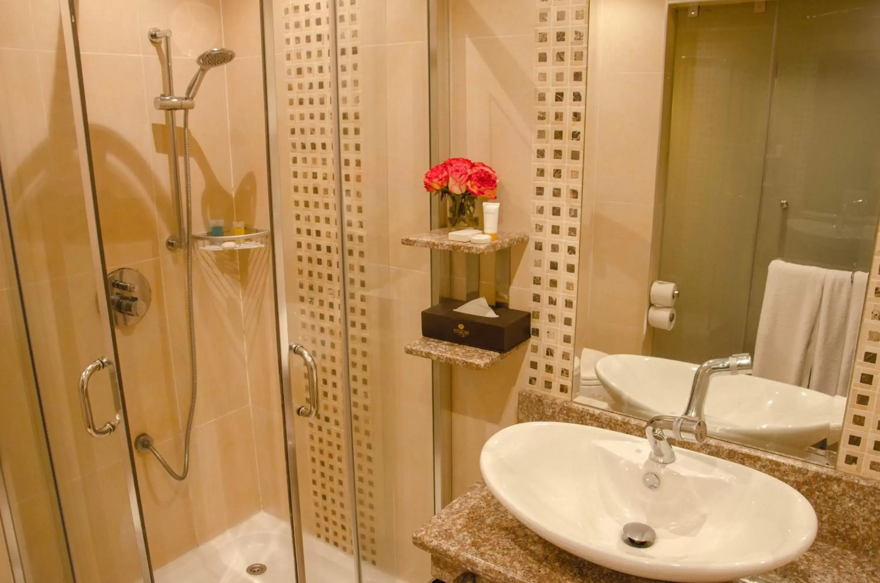 Shower, Bathroom in Best Western Plus Meridian Hotel