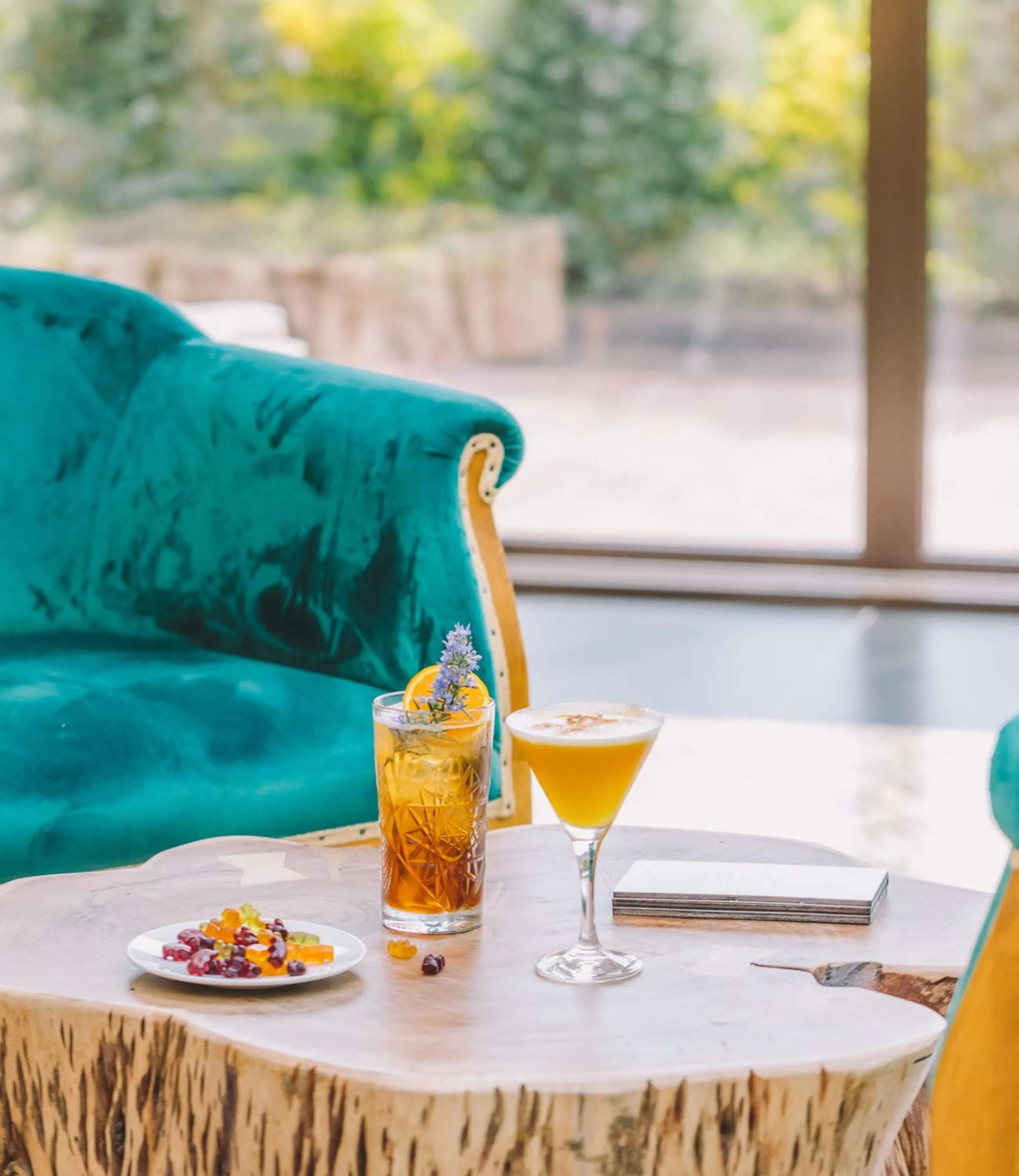 Lounge or bar in Mas Salagros EcoResort & SPA