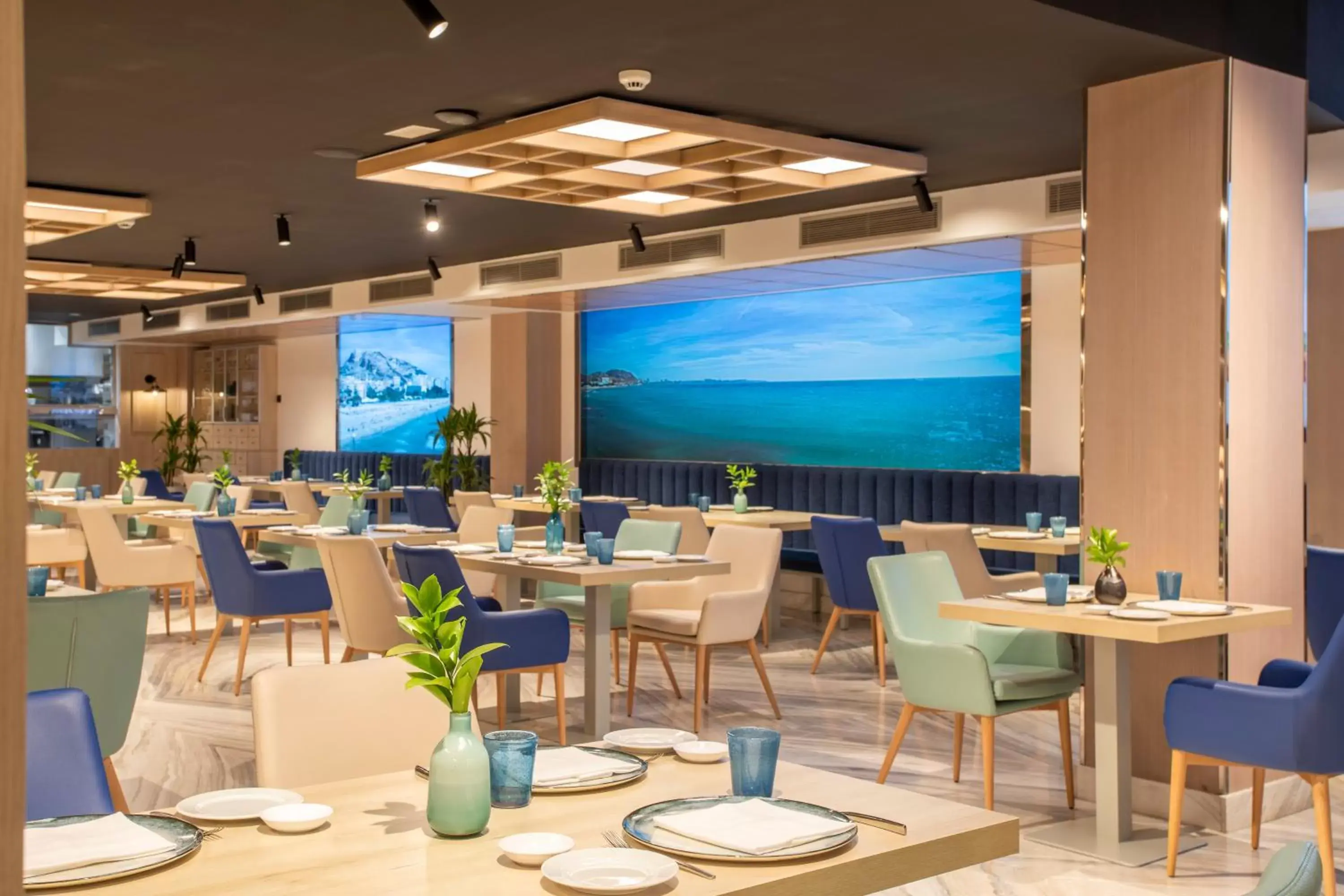 Restaurant/Places to Eat in Melia Alicante