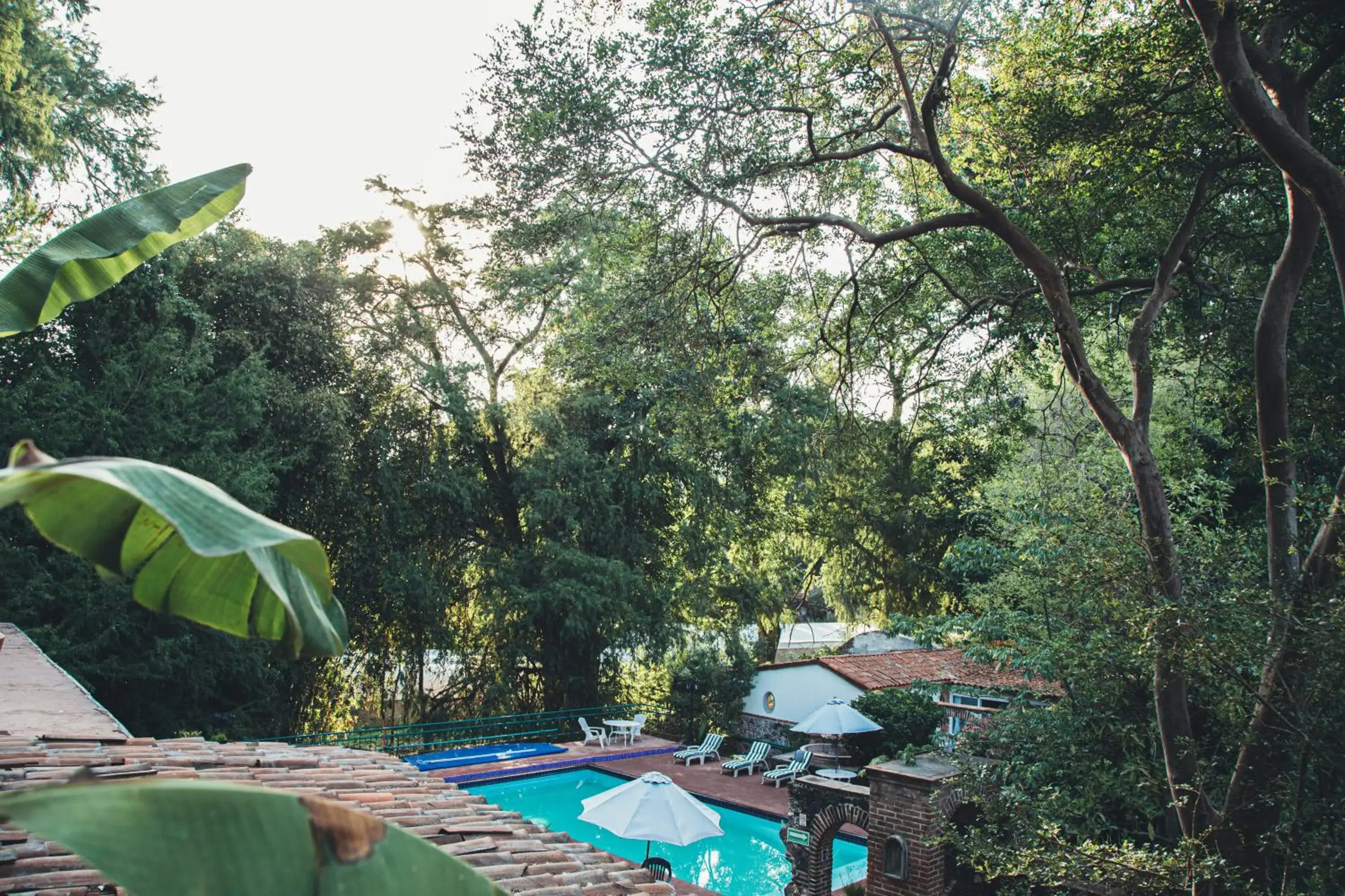 Garden view, Swimming Pool in Hotel La Posada del Valle