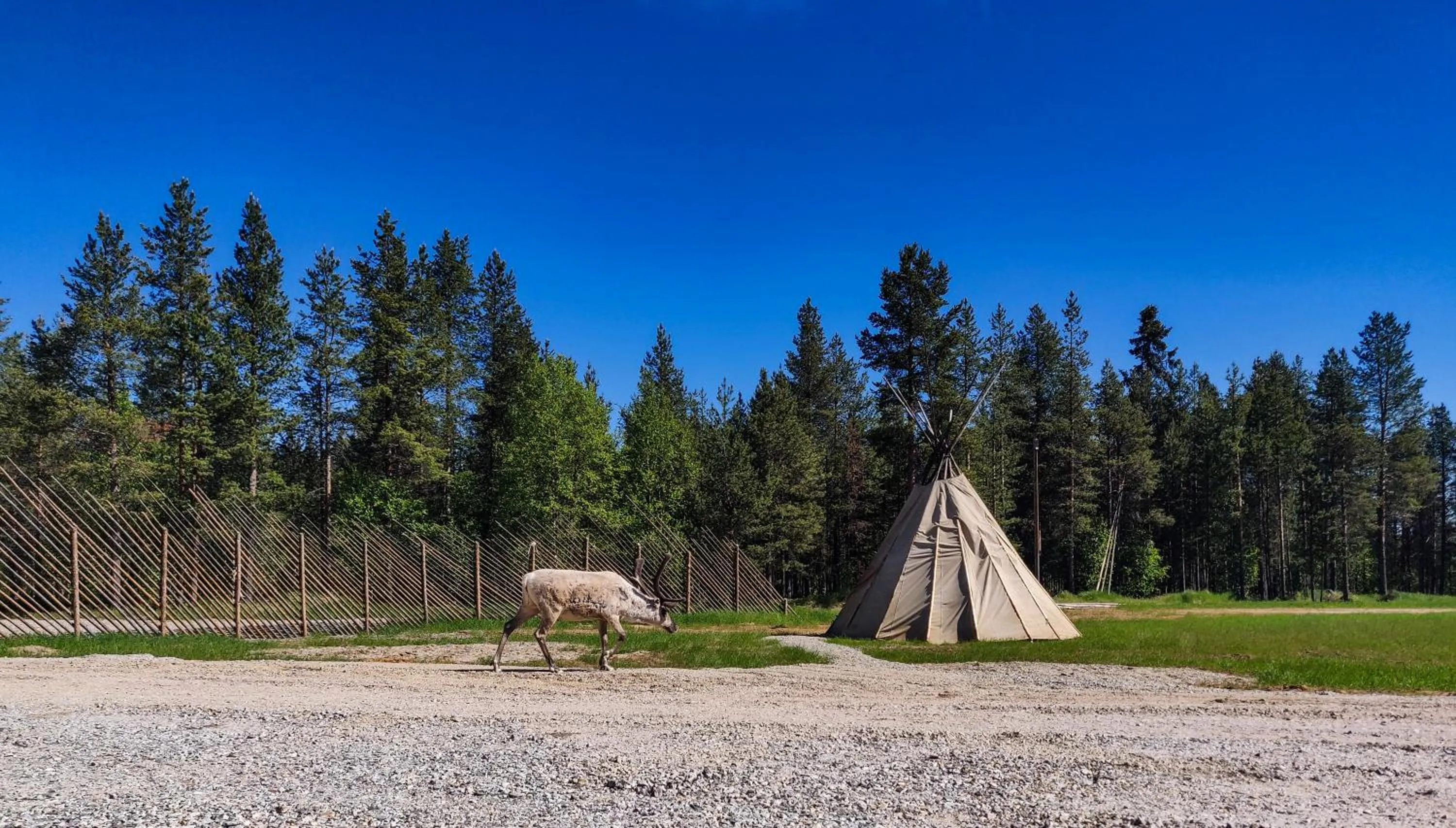 Summer in Aurora Village Ivalo