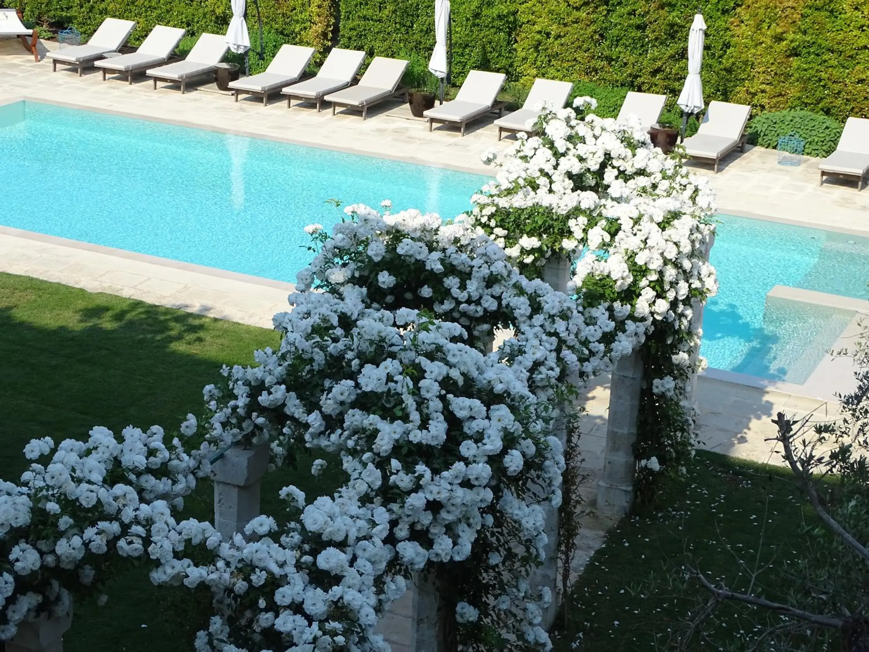 Bird's eye view, Pool View in Palazzo Ducale Venturi - Luxury Hotel & Wellness