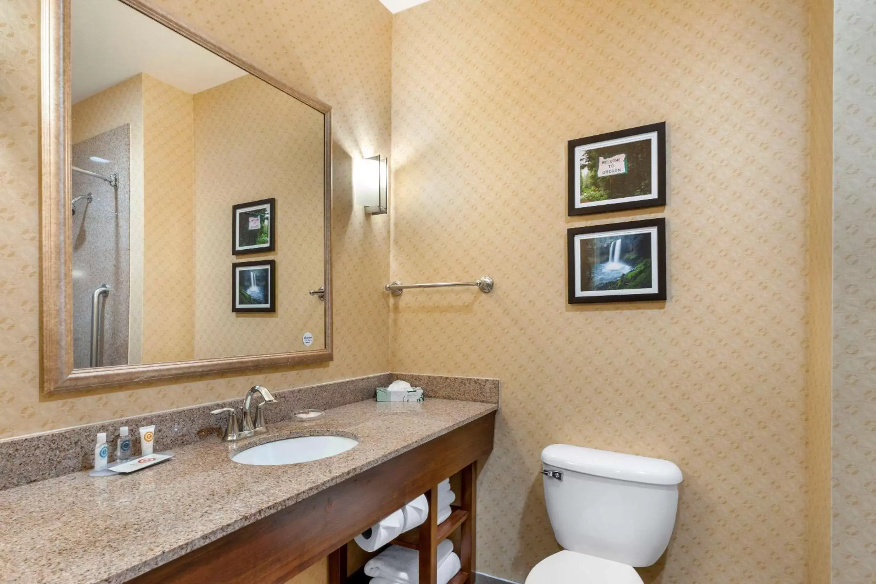 Photo of the whole room, Bathroom in Comfort Suites Eugene