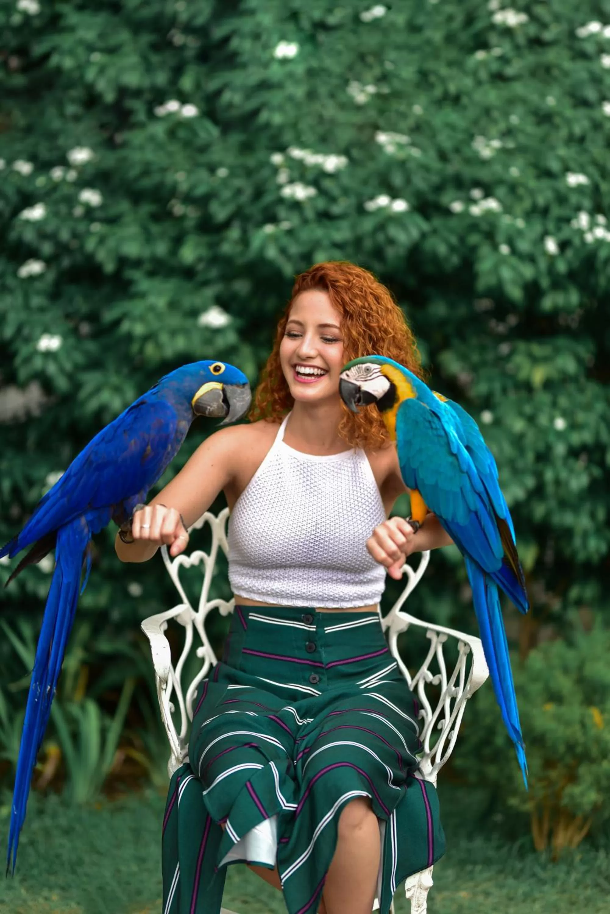 Day in Pousada Sol e Mar