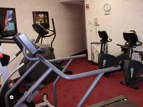 Fitness centre/facilities, Fitness Center/Facilities in Piccadilly Inn Airport