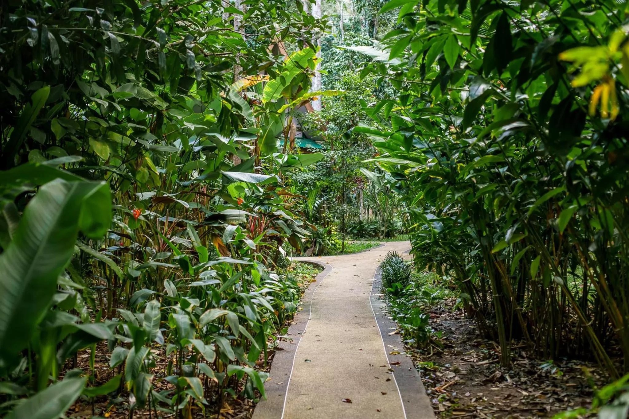 Garden in Aonang Cliff View Resort SHA Extra Plus