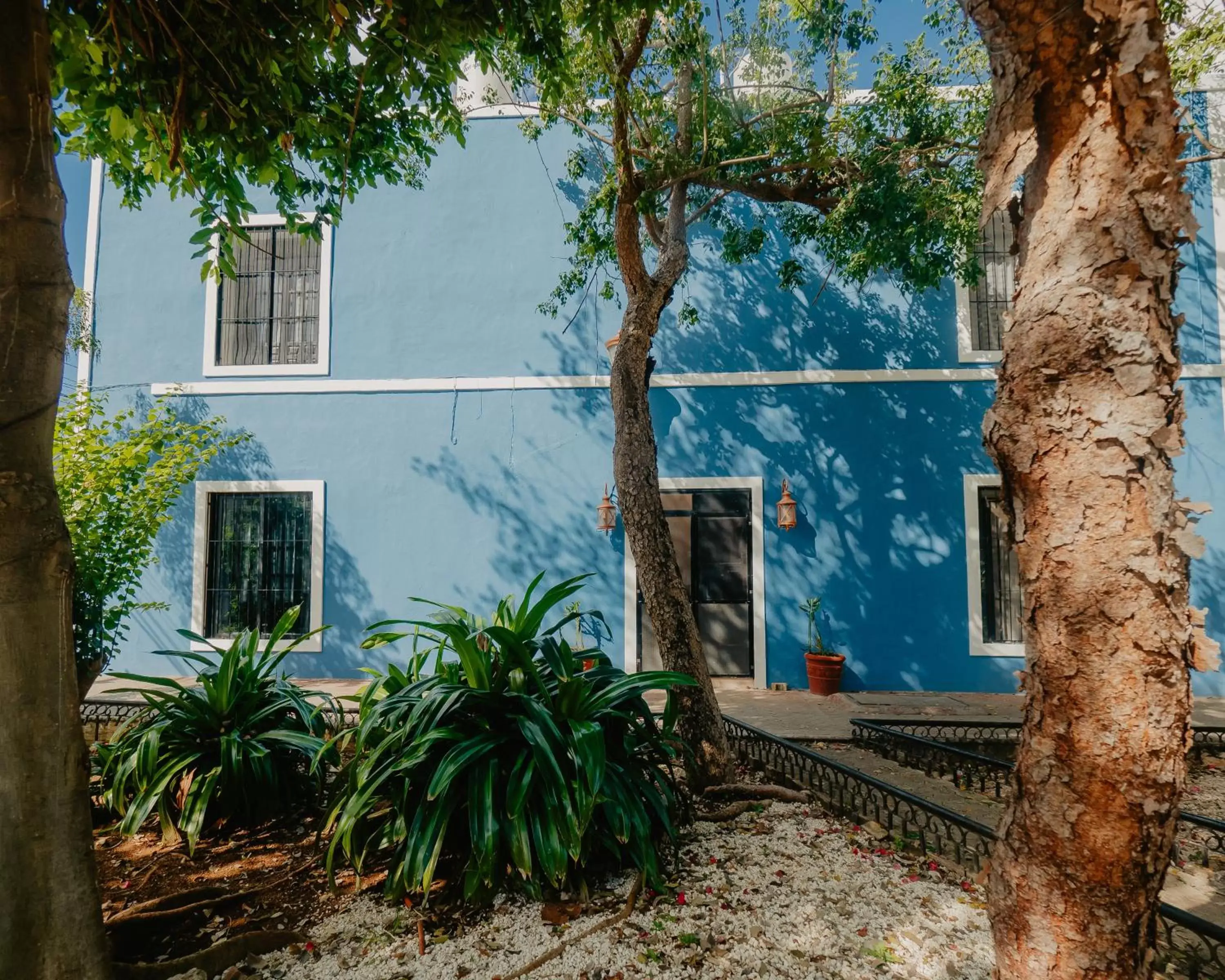 Property Building in Nido Colibrí - Zona Remate de Paseo Montejo