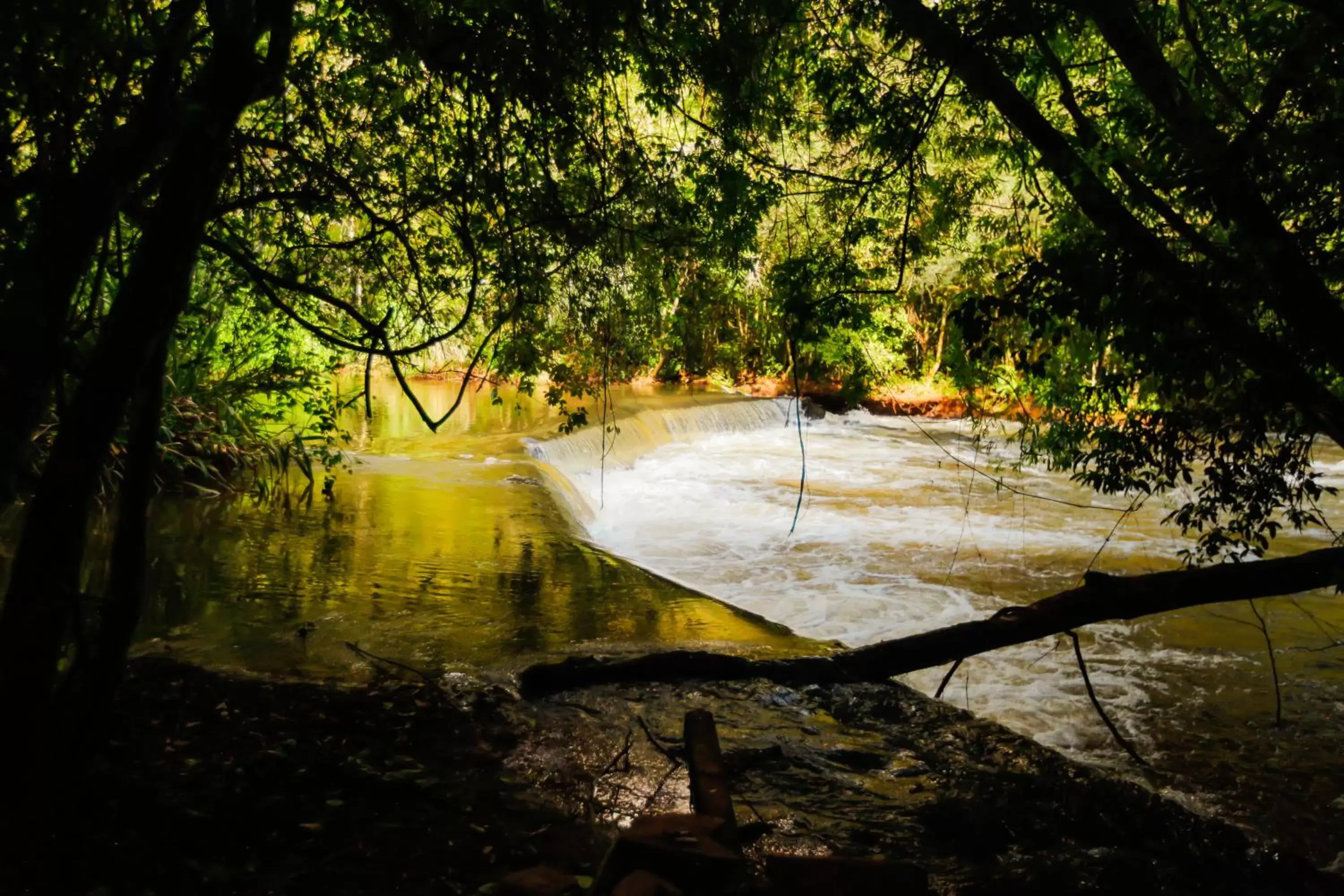 Hiking in Vivaz Cataratas Hotel Resort