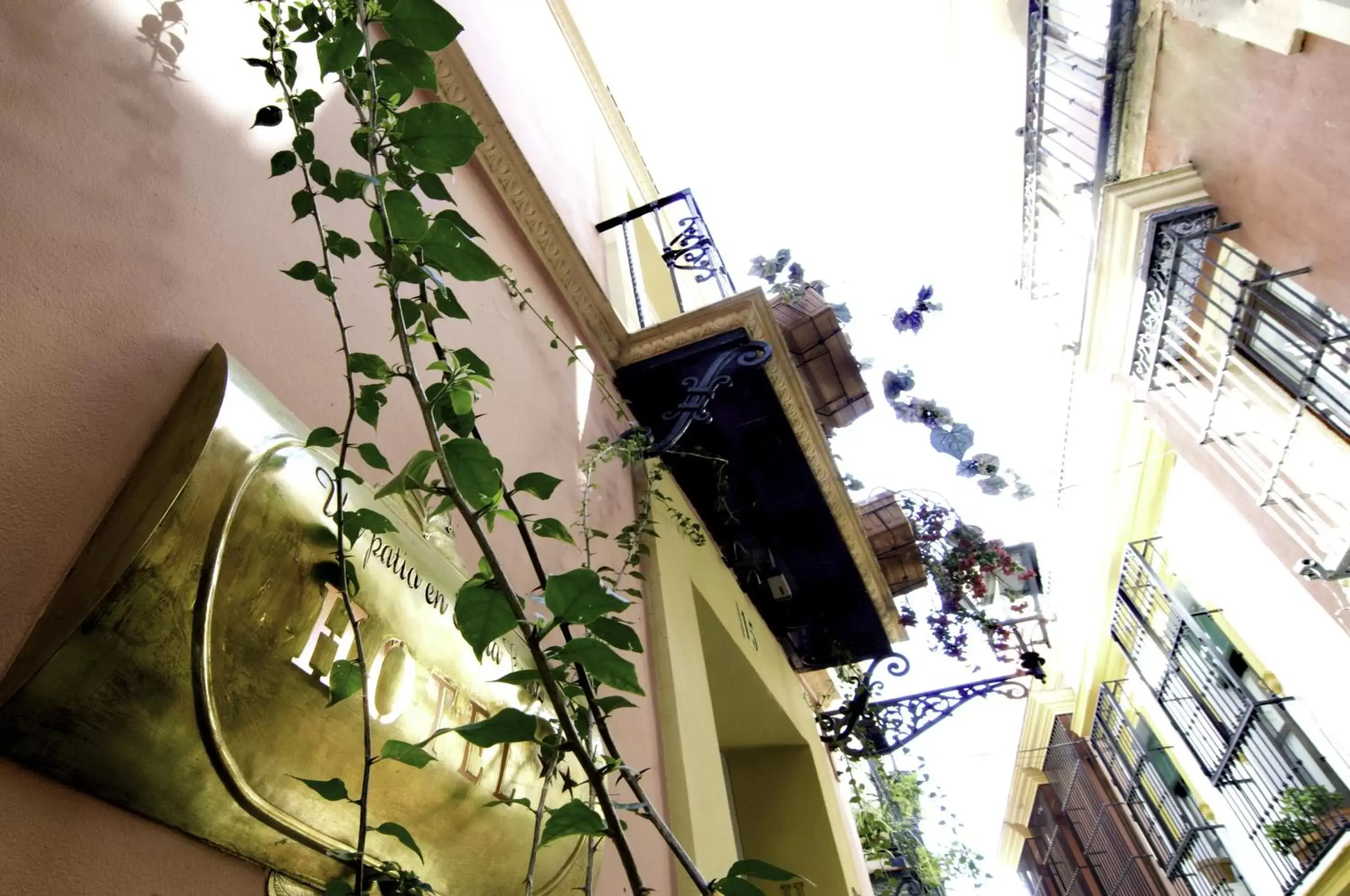 Facade/entrance in Un Patio en Santa Cruz