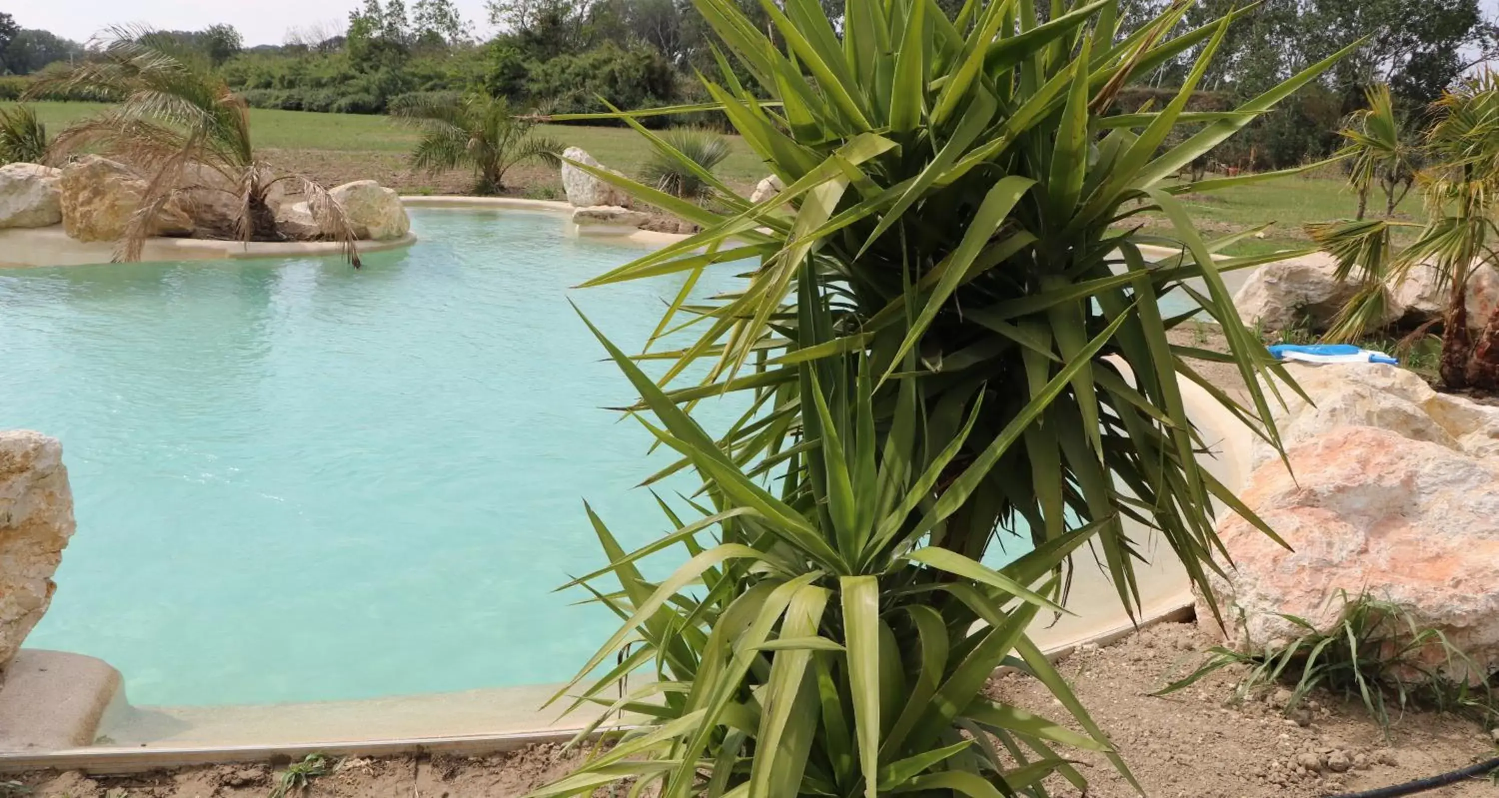 Swimming pool in Mas des Cerisiers