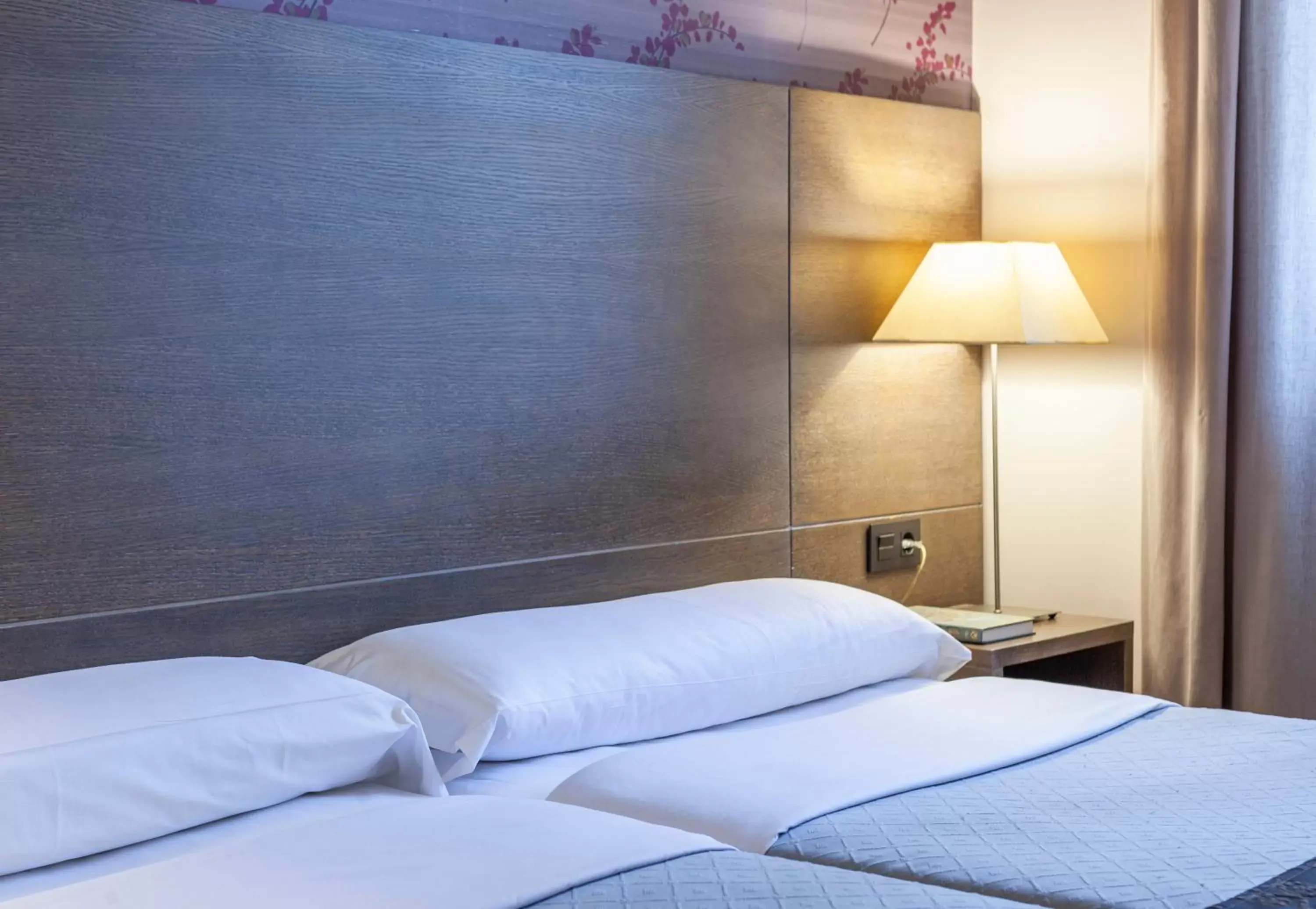 Twin Room with Extra Bed in Hotel Macià Monasterio de los Basilios