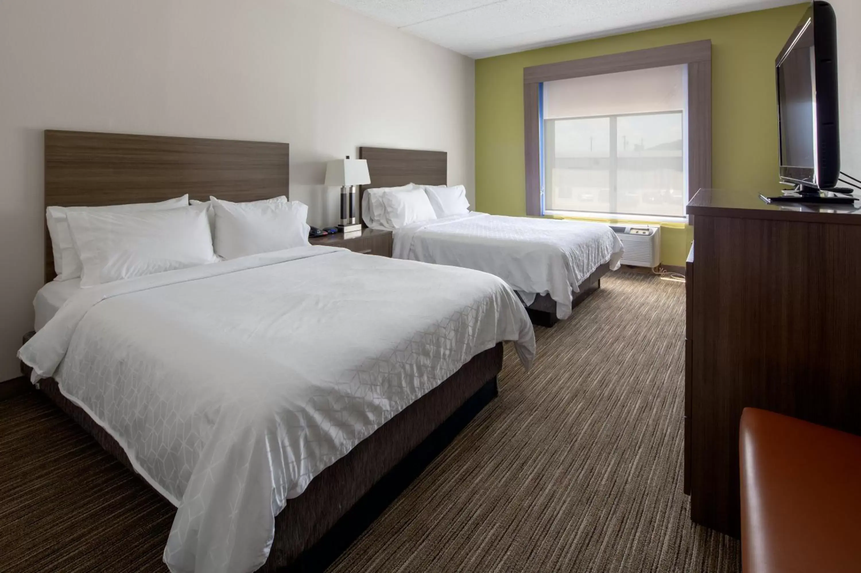 Photo of the whole room, Bed in Holiday Inn Express Hotel & Suites Chattanooga-Lookout Mountain, an IHG Hotel