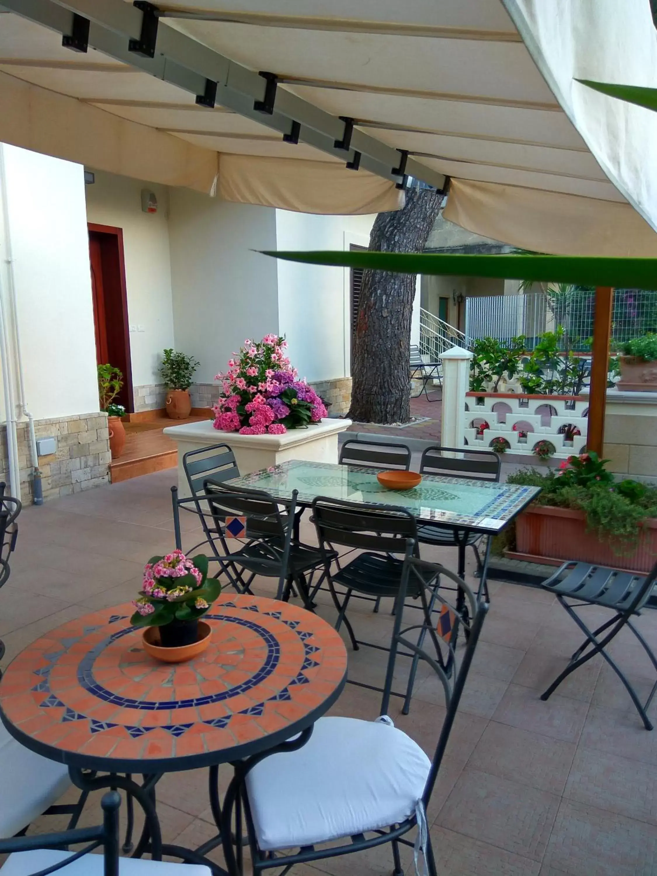 Garden, Dining Area in Le Camelie