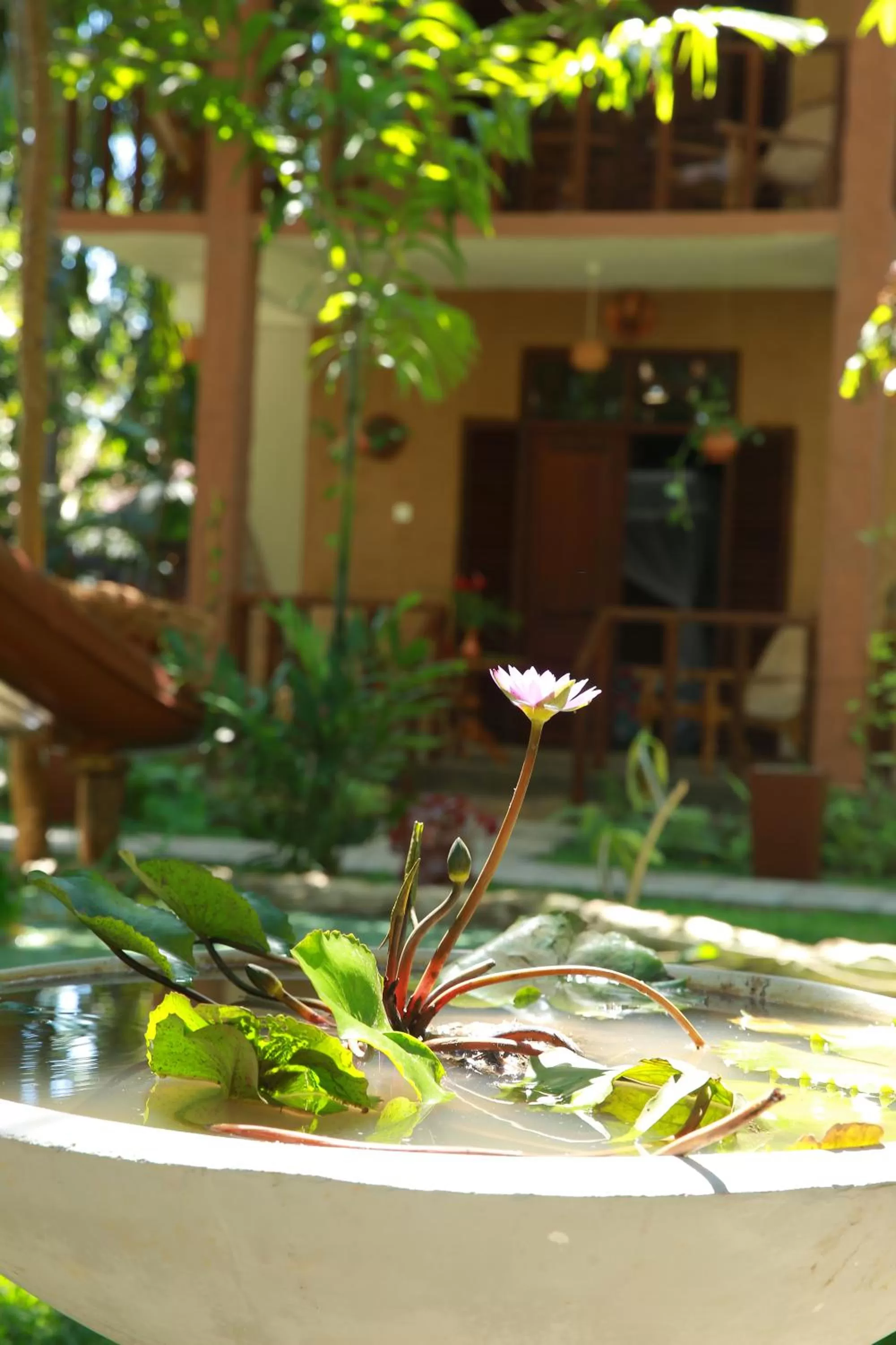 Property building in Limecabanas-srilanka