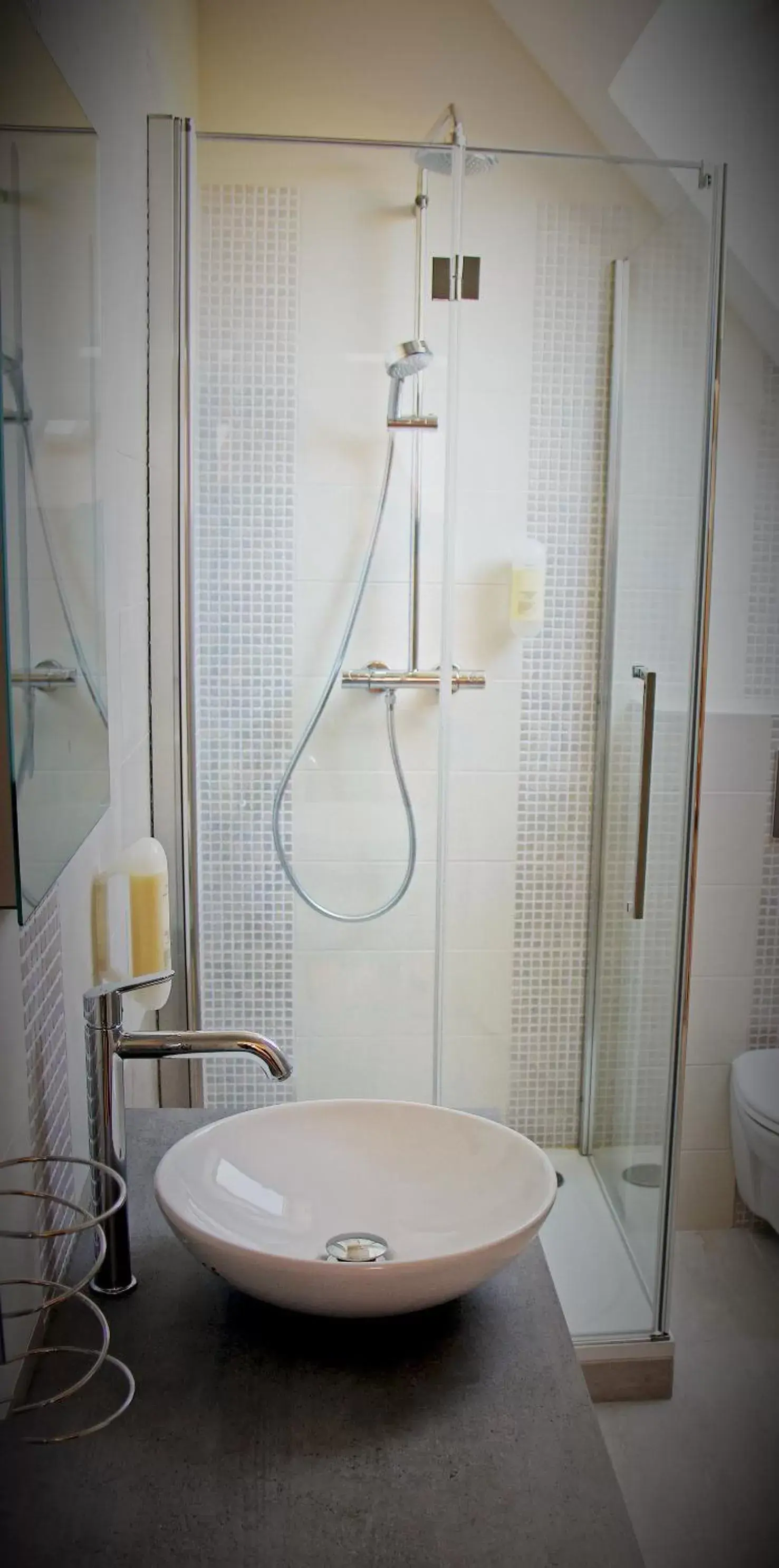 Shower, Bathroom in Villa Louis Victor