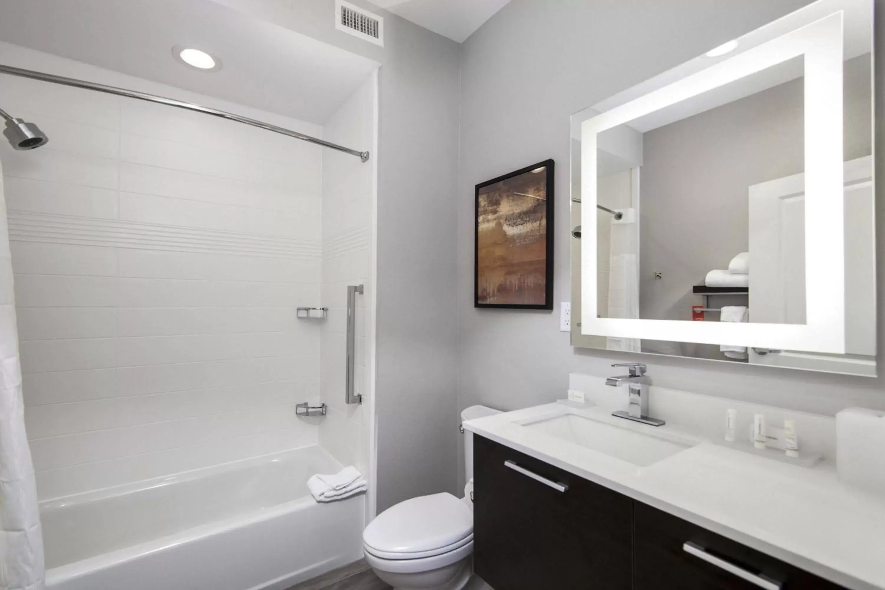Bathroom in TownePlace Suites by Marriott Houston Hobby Airport
