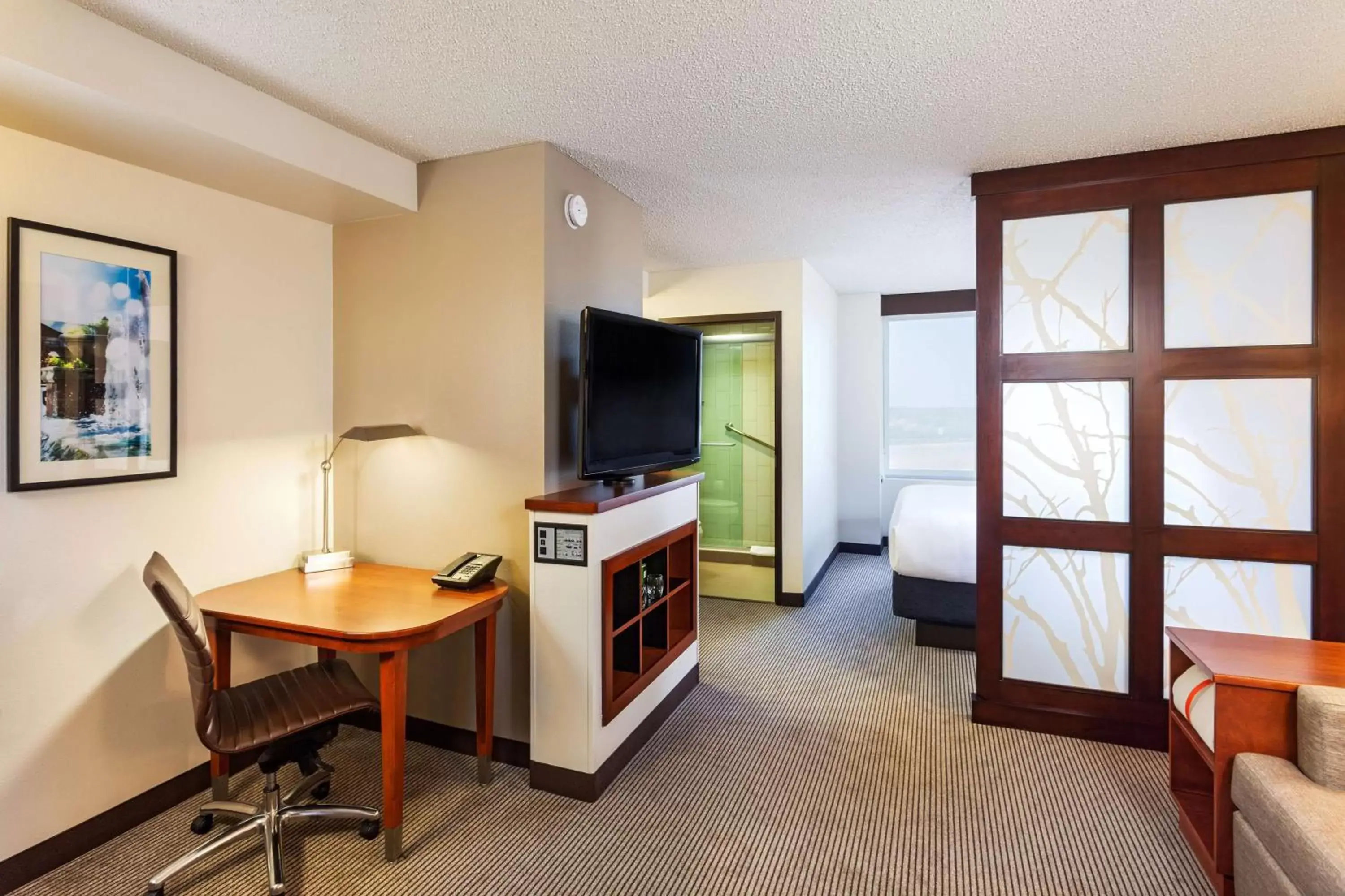 Photo of the whole room, TV/Entertainment Center in Hyatt Place Sacramento Roseville