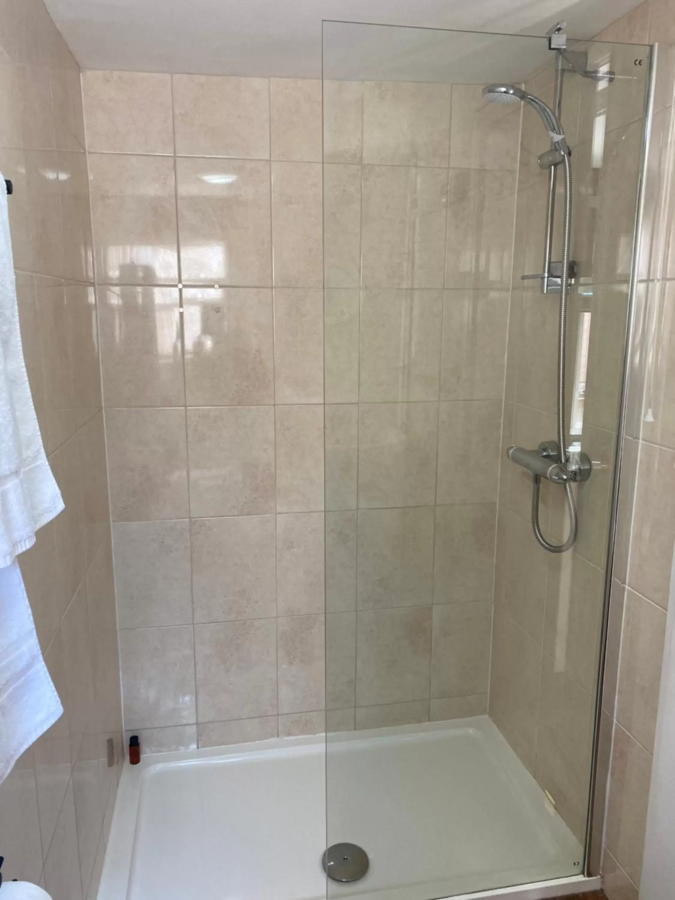 Shower, Bathroom in The Tudor Hotel