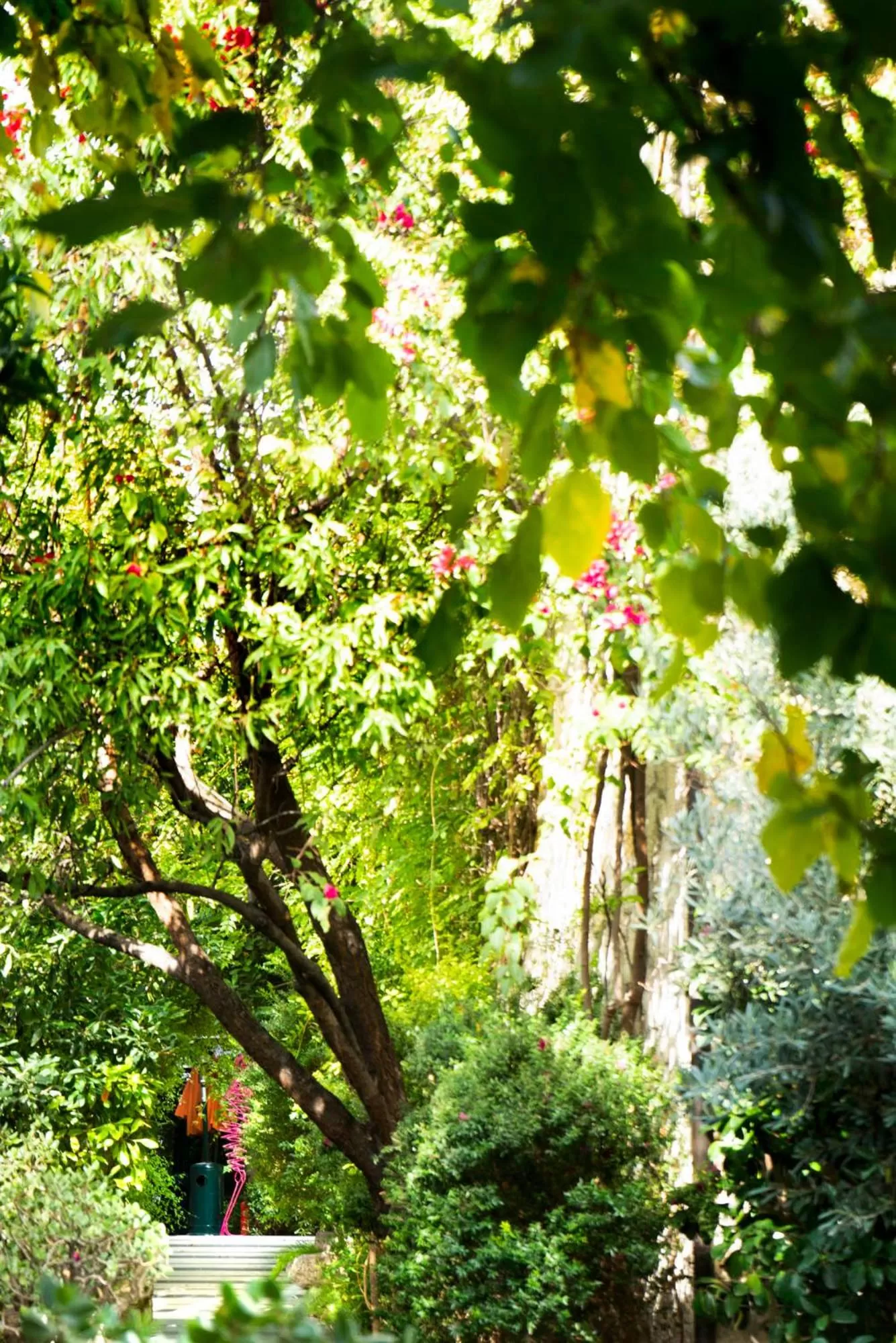 Natural landscape in Alavya