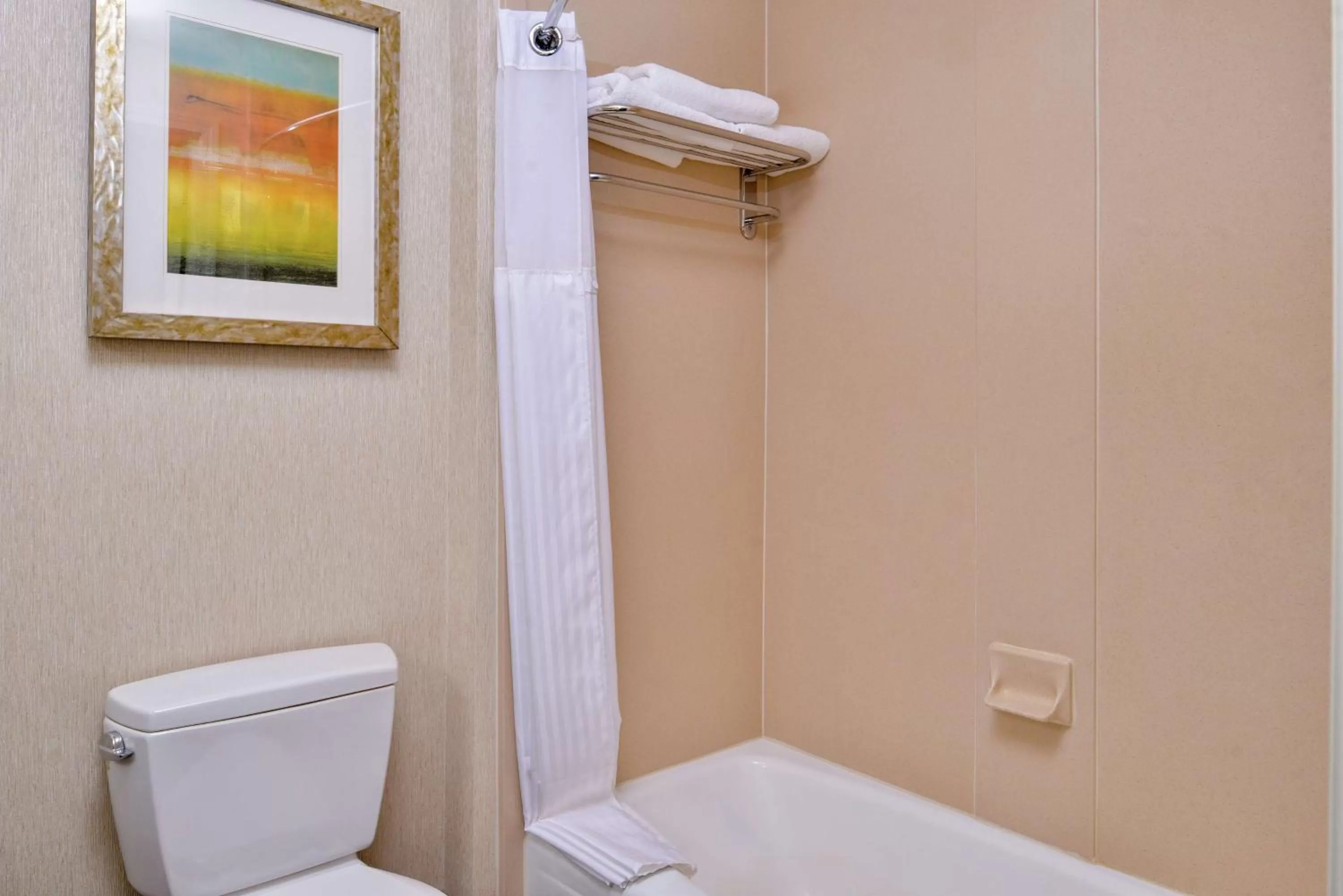 Bathroom in Hilton Garden Inn Boise Spectrum