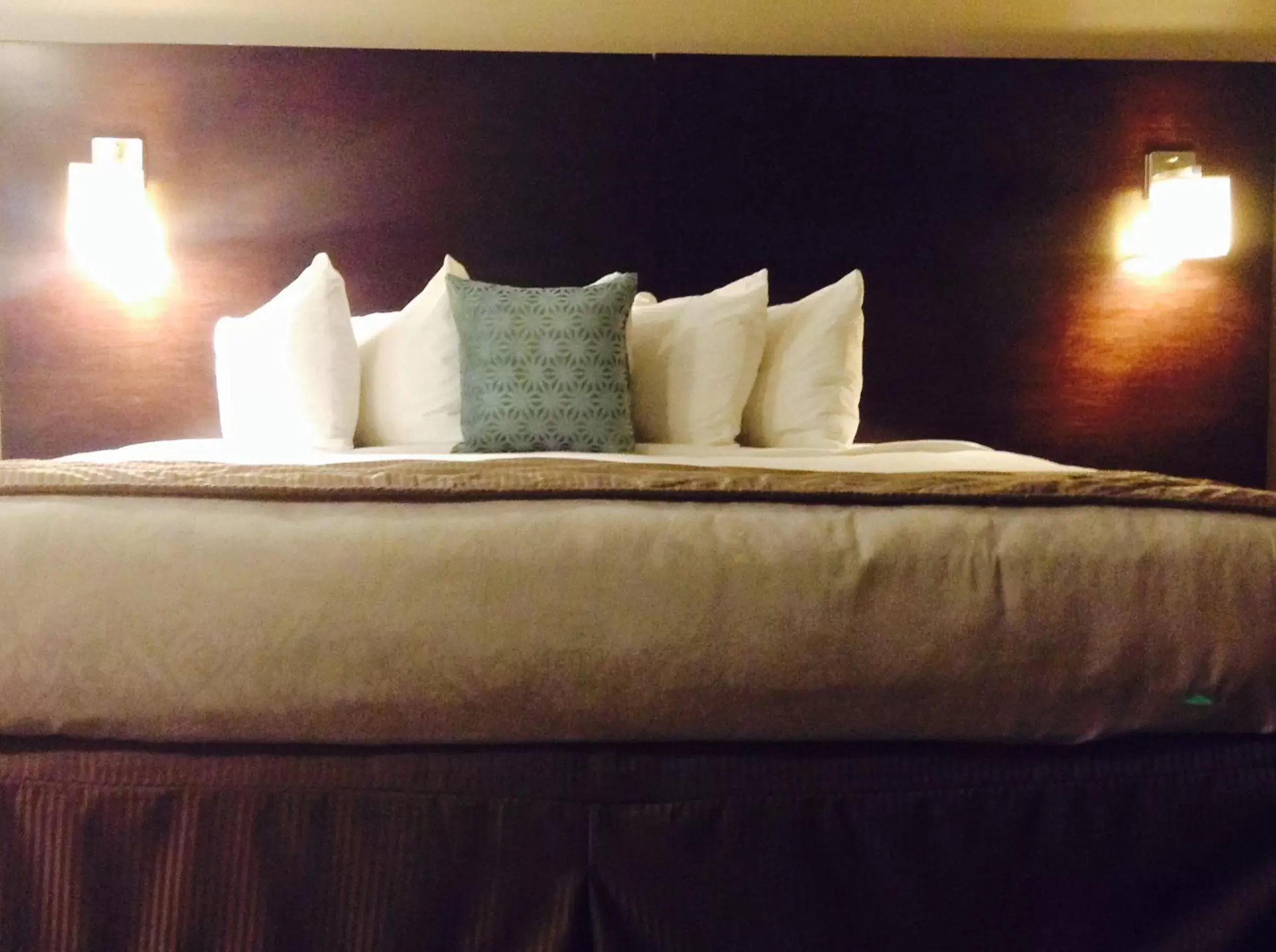 Bed in Super 8 by Wyndham West Kelowna BC Bed in Super 8 by Wyndham West Kelowna BC