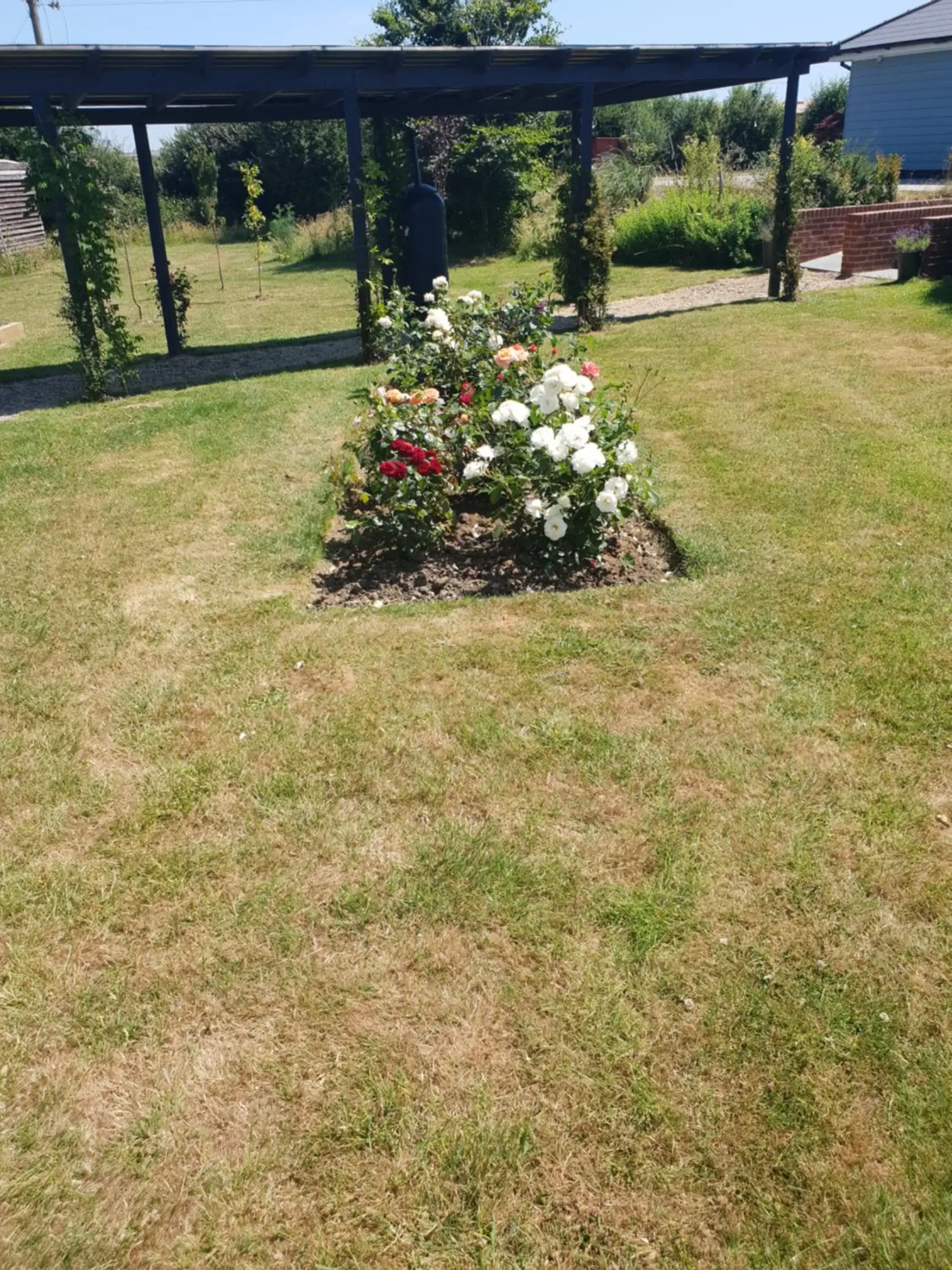 Garden in Goshens Farm B&B