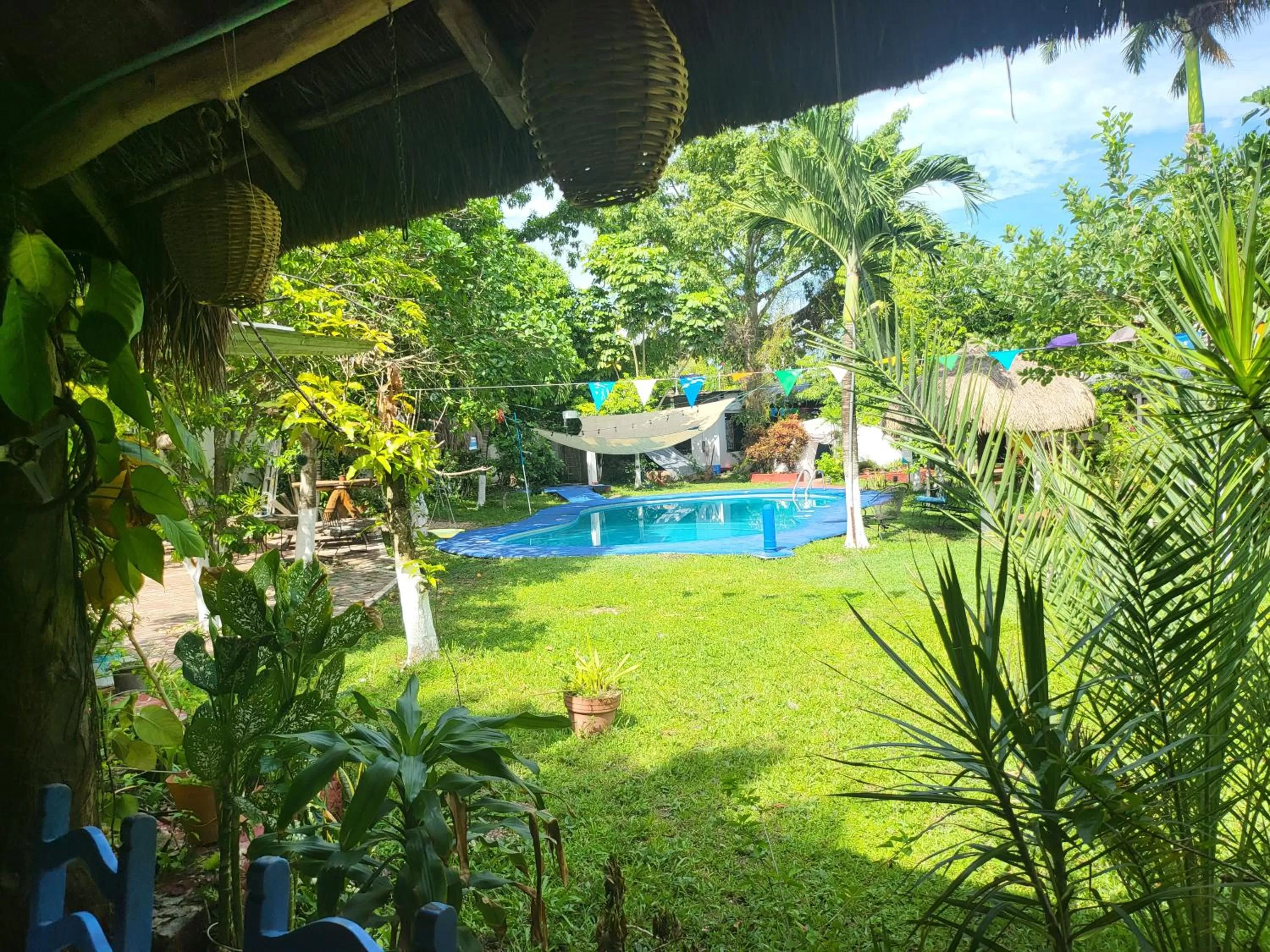 Pool View in Cabañas Colibrí