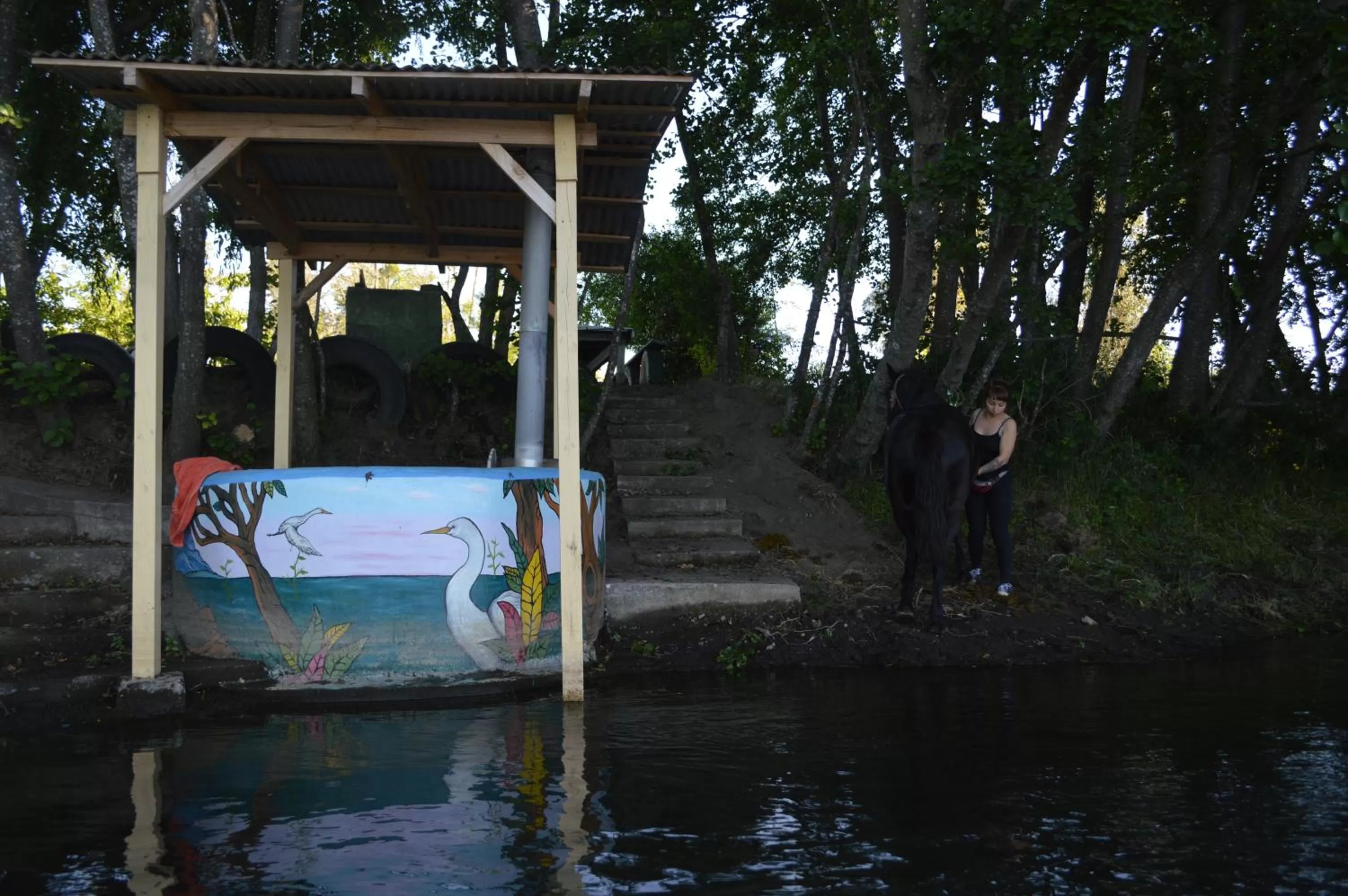 Coyunche Cabañas y Camping Laja & San Rosendo