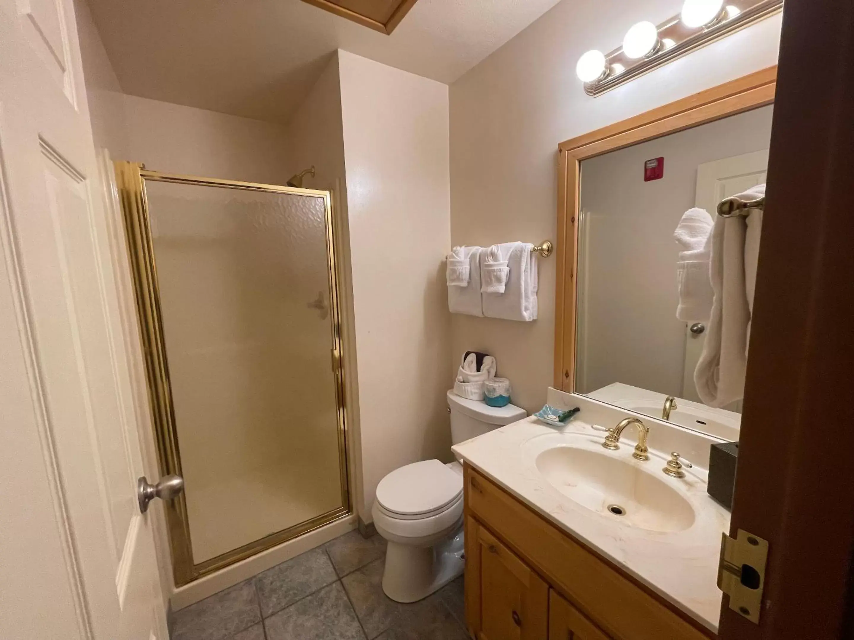 Shower, Bathroom in Appenzell Inn