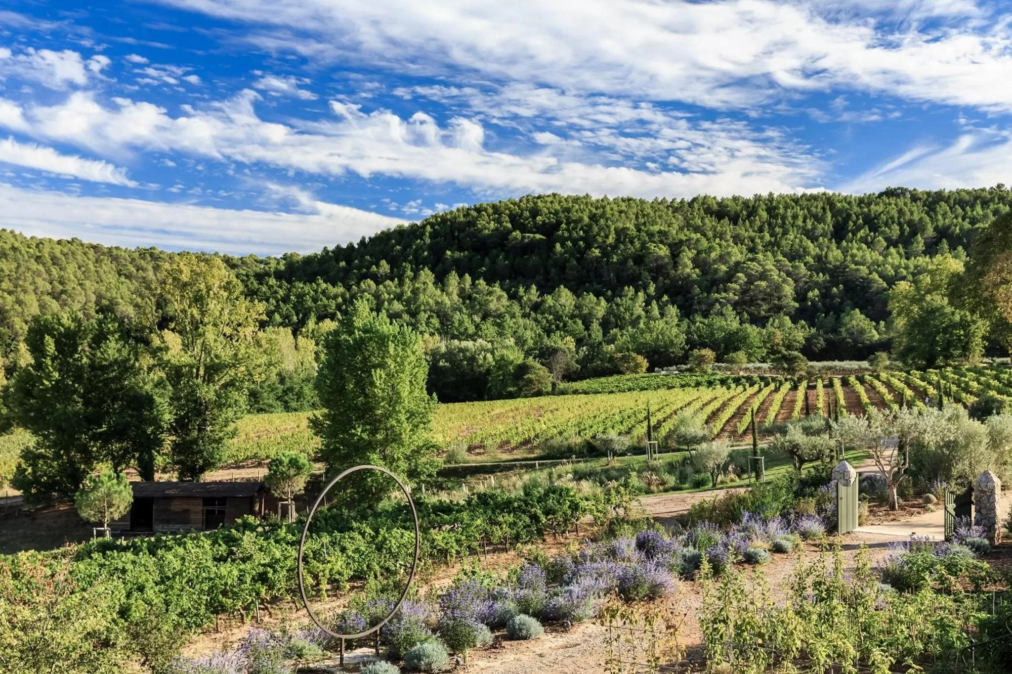 Natural landscape in Château de Berne