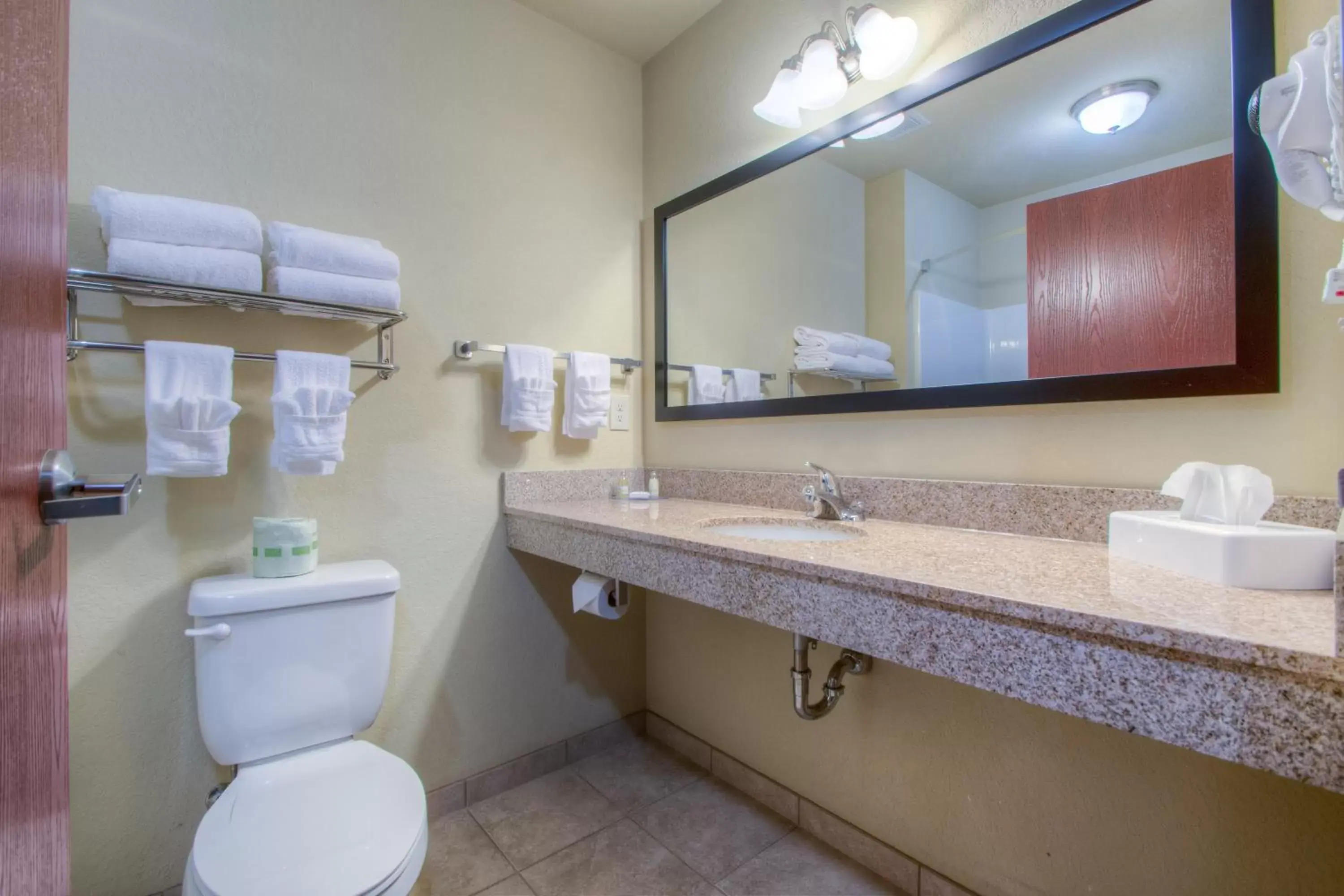 Bathroom in Cobblestone Inn & Suites - Wray