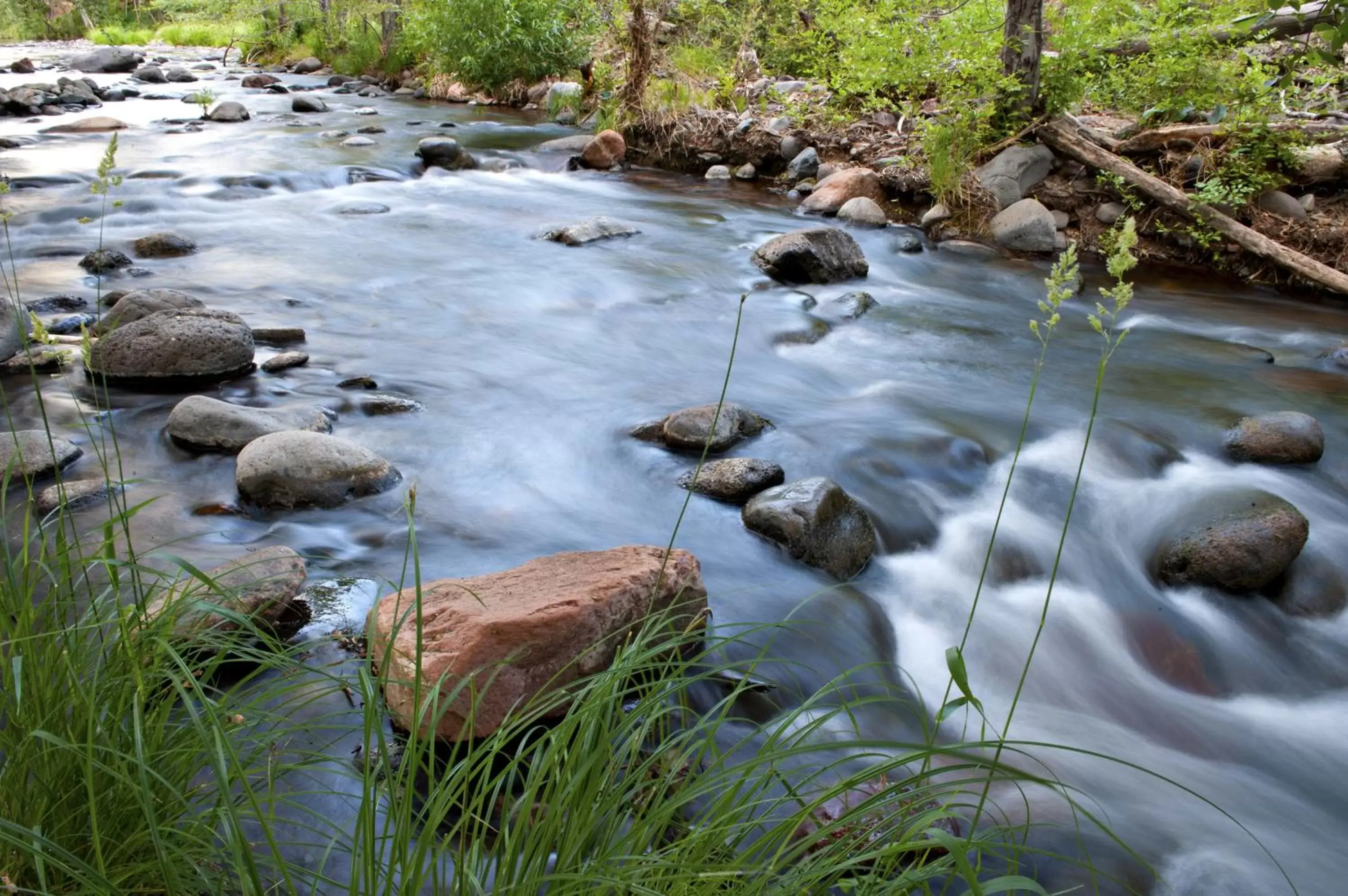 River view in L'Auberge De Sedona