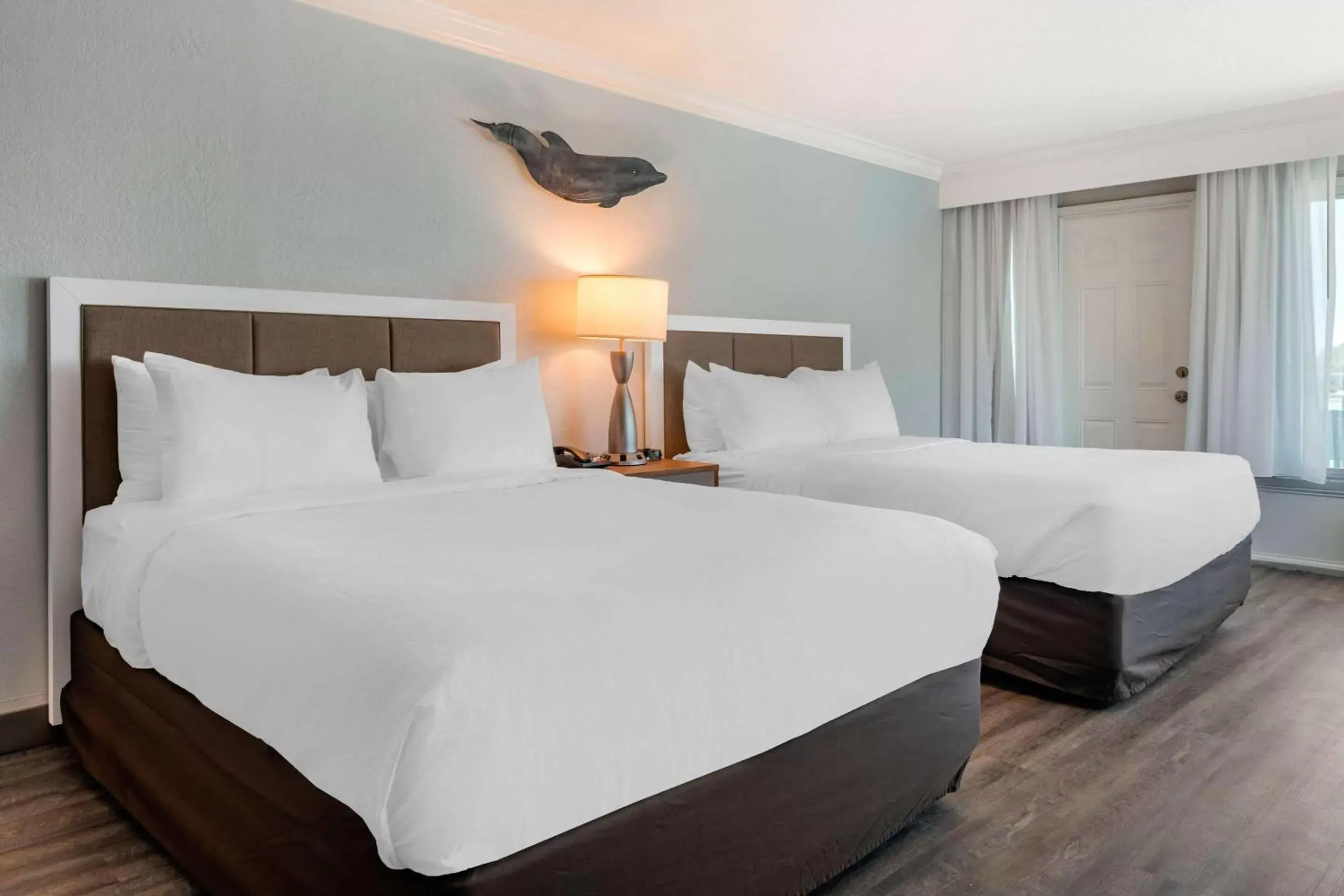 Photo of the whole room, Bed in Winter the Dolphins Beach Club, Ascend Hotel Collection