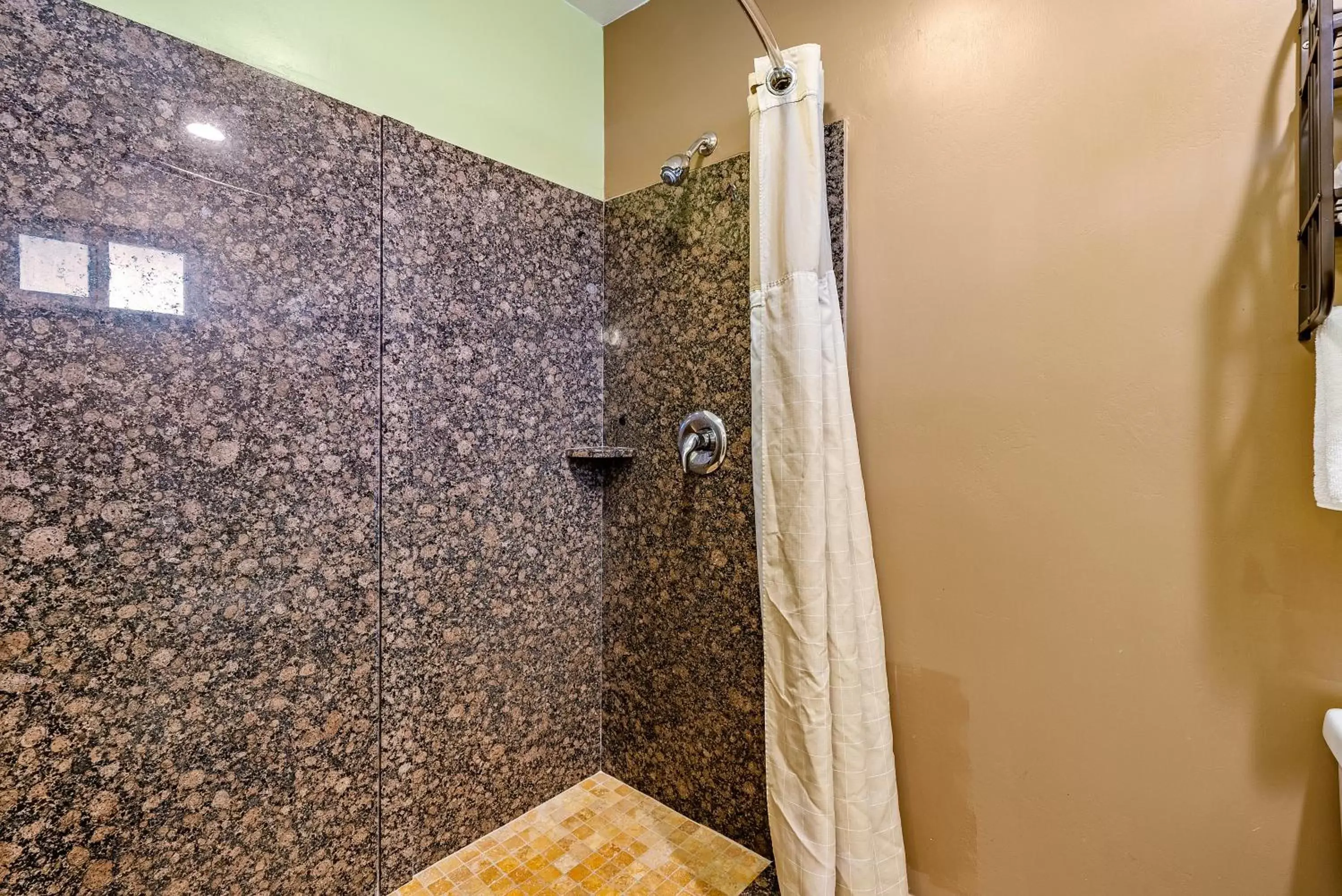 Shower, Bathroom in Aloha Inn
