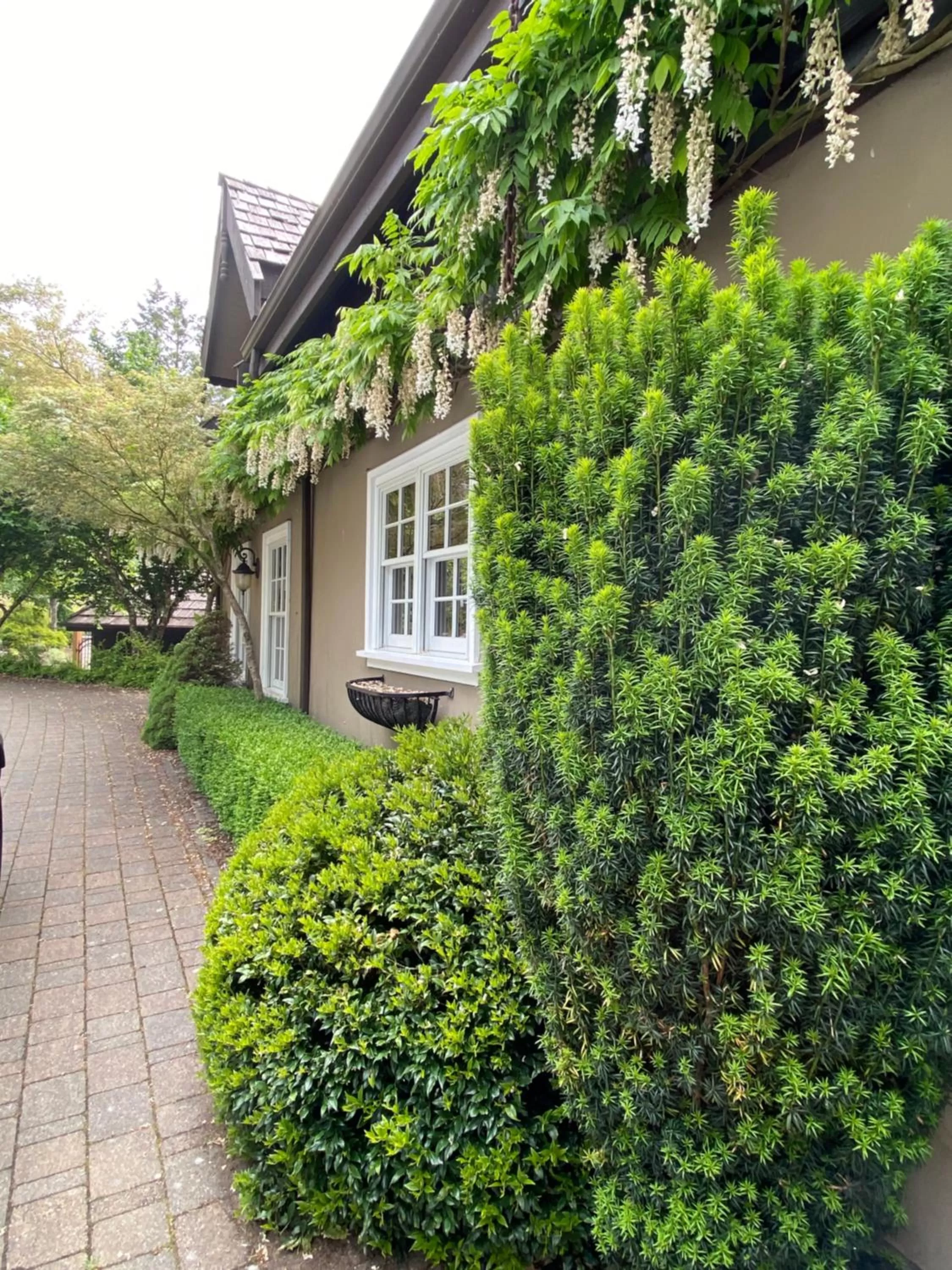 Amante Luxury Bed & Breakfast