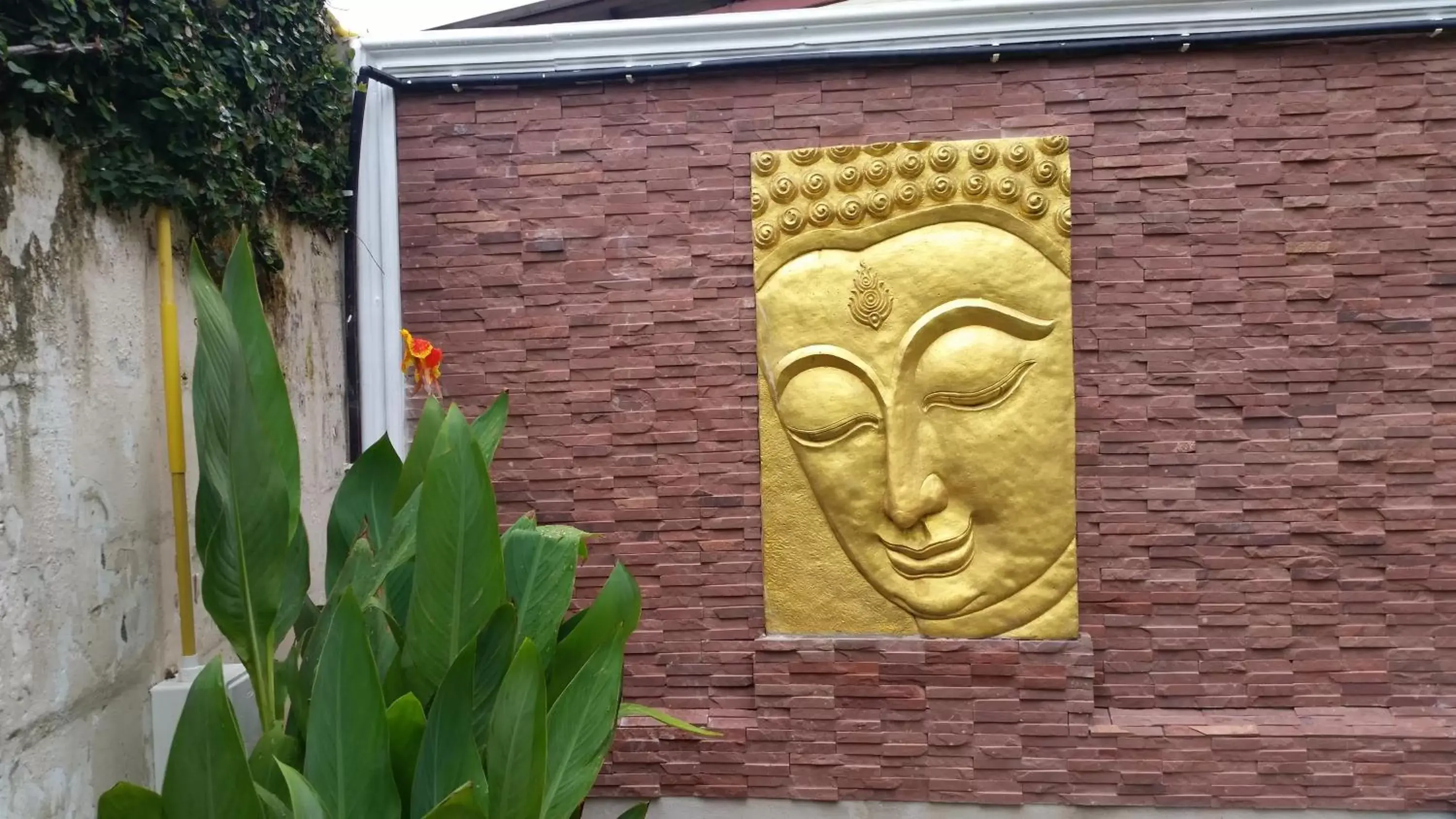 Garden view, Facade/Entrance in Villa Oranje Chiang Mai