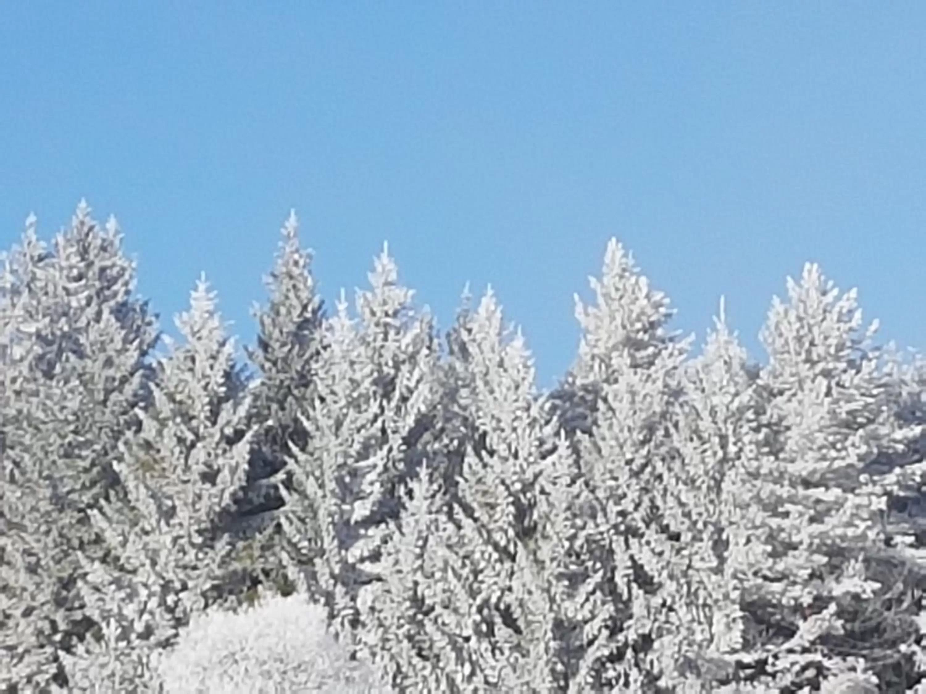 Winter in Hotel Restaurant Kniebishöhe