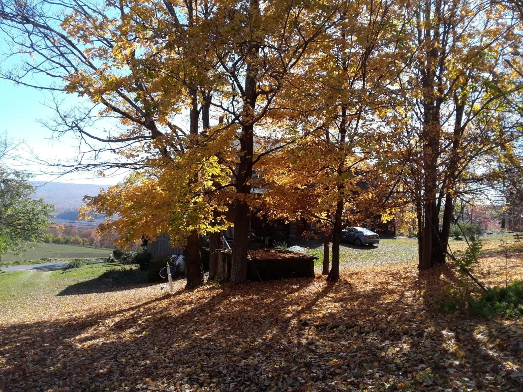 Garden in Baneberry Meadows B&B