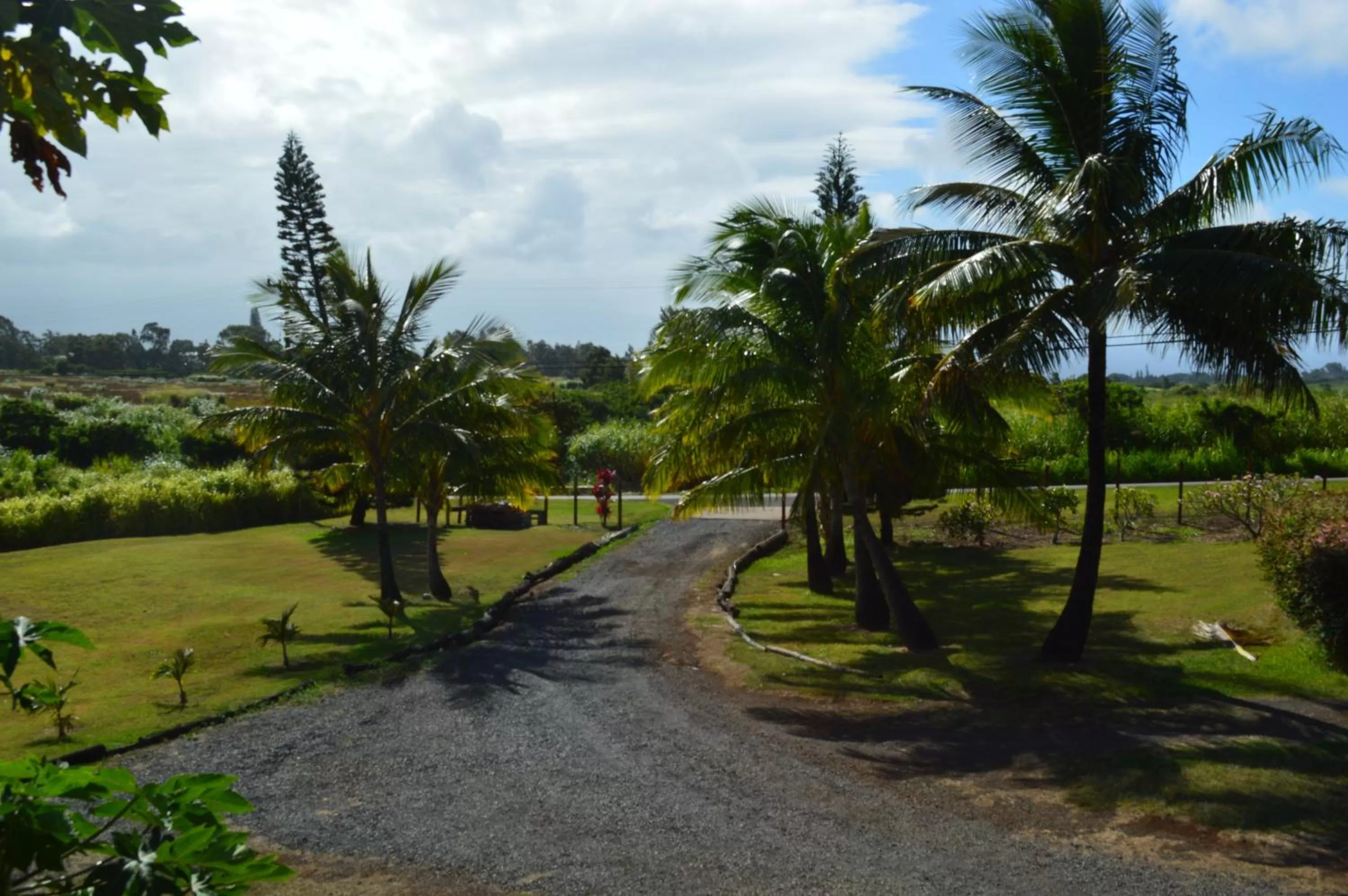 Cottage in God's Peace of Maui