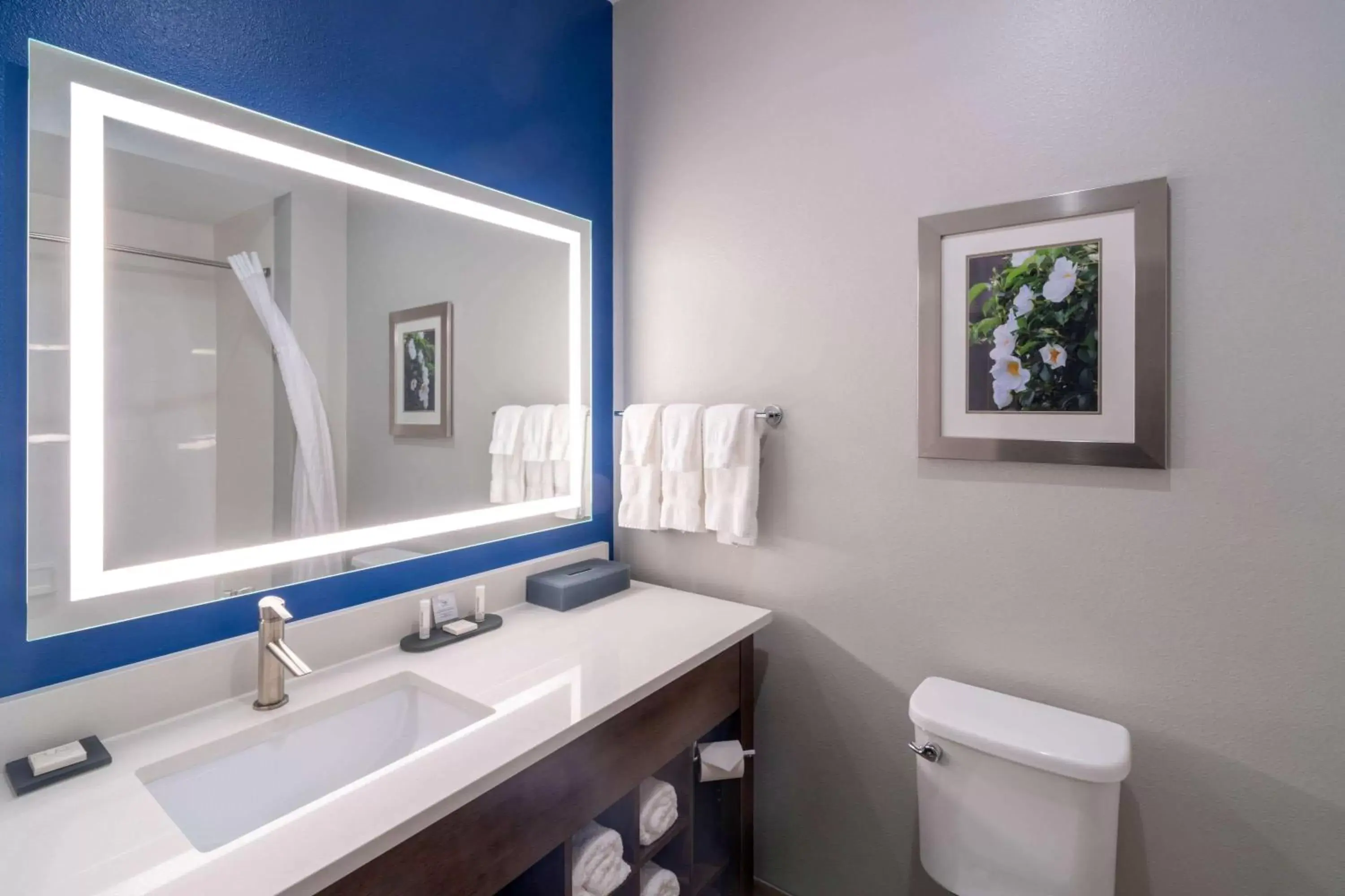 Bathroom in La Quinta Inn & Suites by Wyndham Tifton