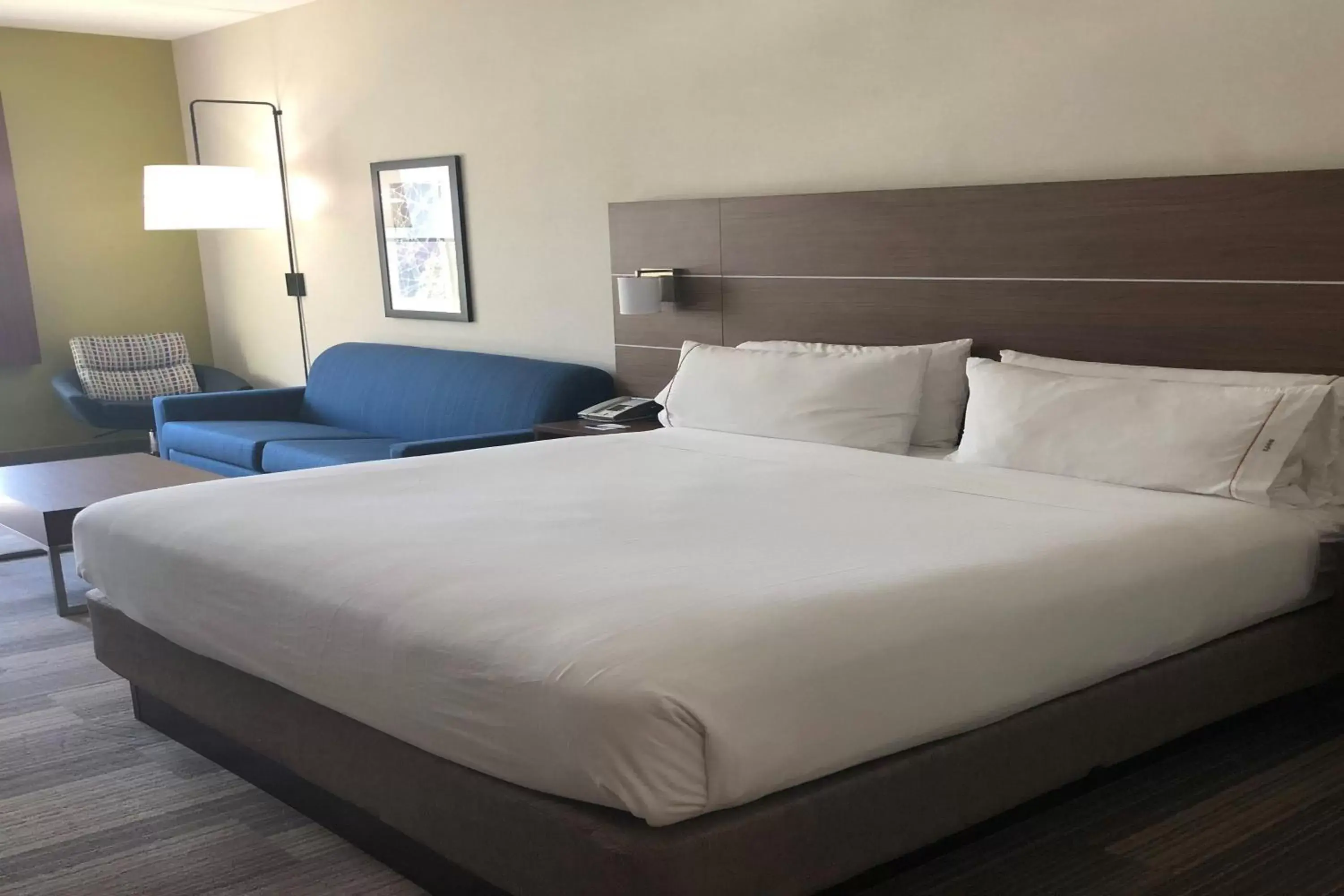 Photo of the whole room, Bed in Holiday Inn Express Hotel & Suites Albany, an IHG Hotel