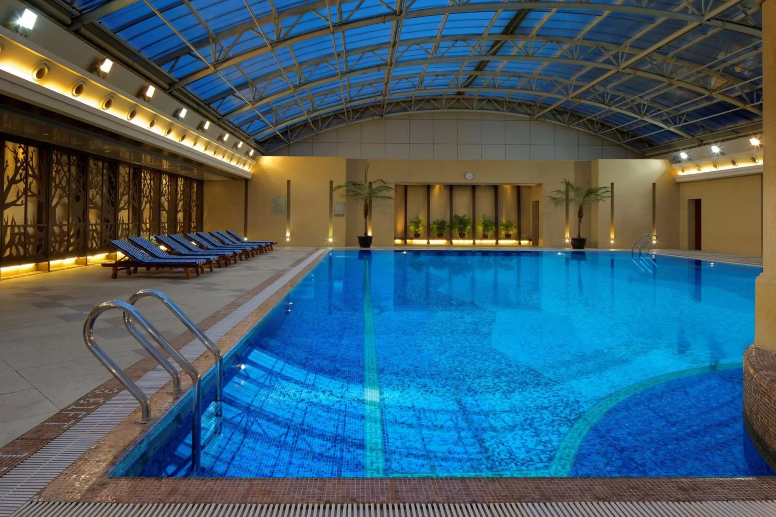 Activities, Swimming Pool in Radisson Blu Hotel Shanghai New World