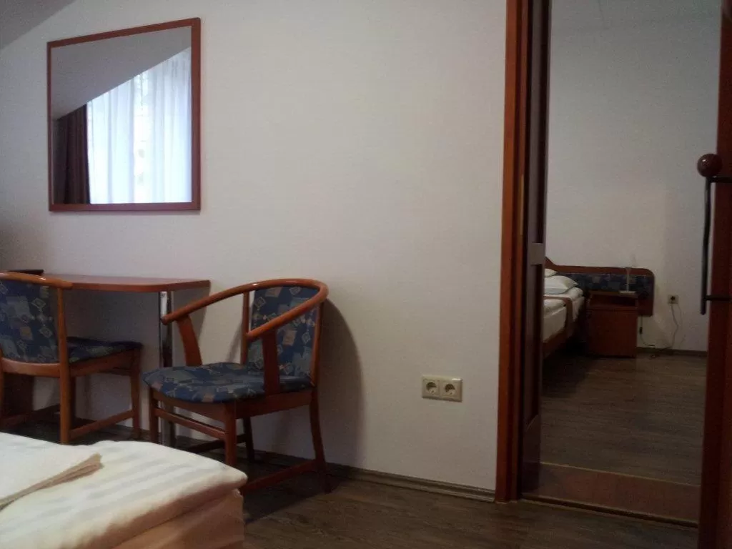 Seating Area in Fenyves Wellness Hotel Békéscsaba