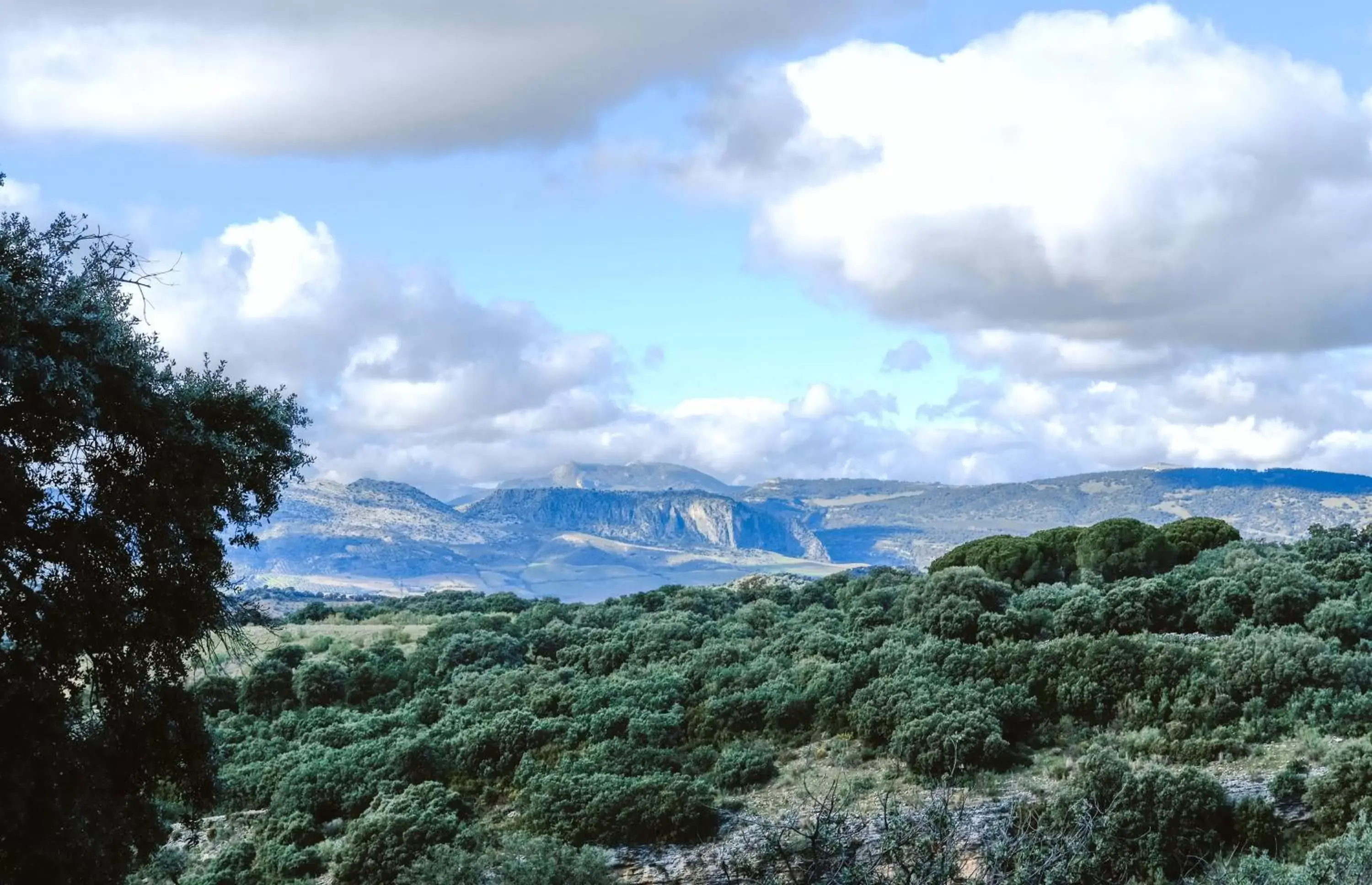 Natural landscape in Los Pilares de Ronda Boutique & Hotel