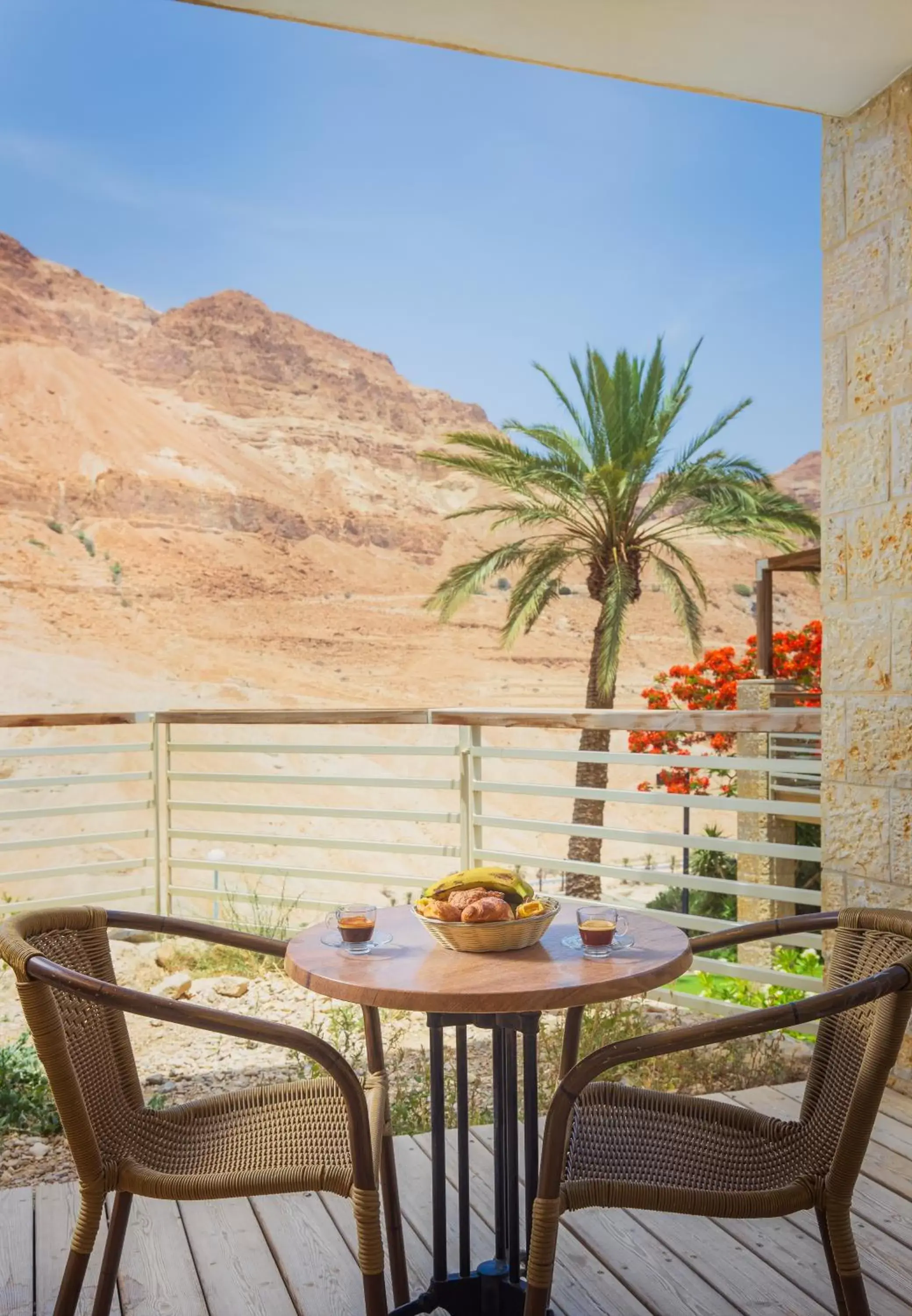 Balcony/Terrace in Ein Gedi Kibbutz Hotel