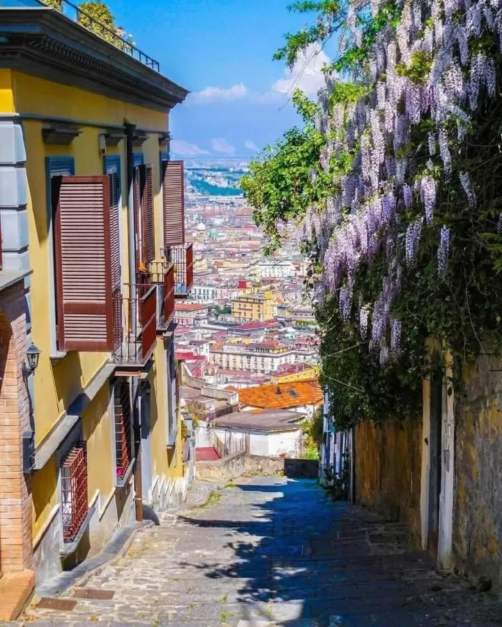 Natural landscape in Le Petit Palais - Naples