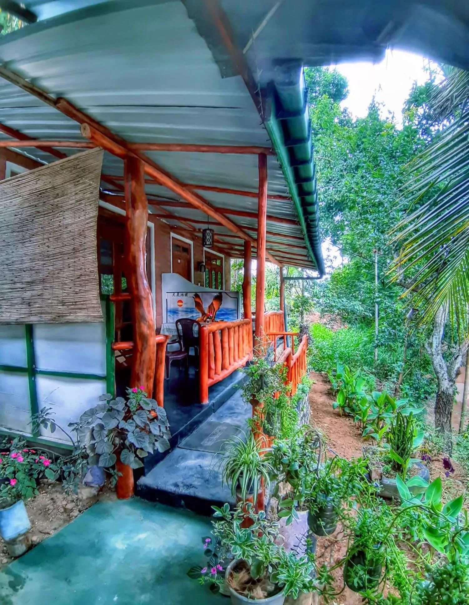 Garden view in Cozy Home Stay