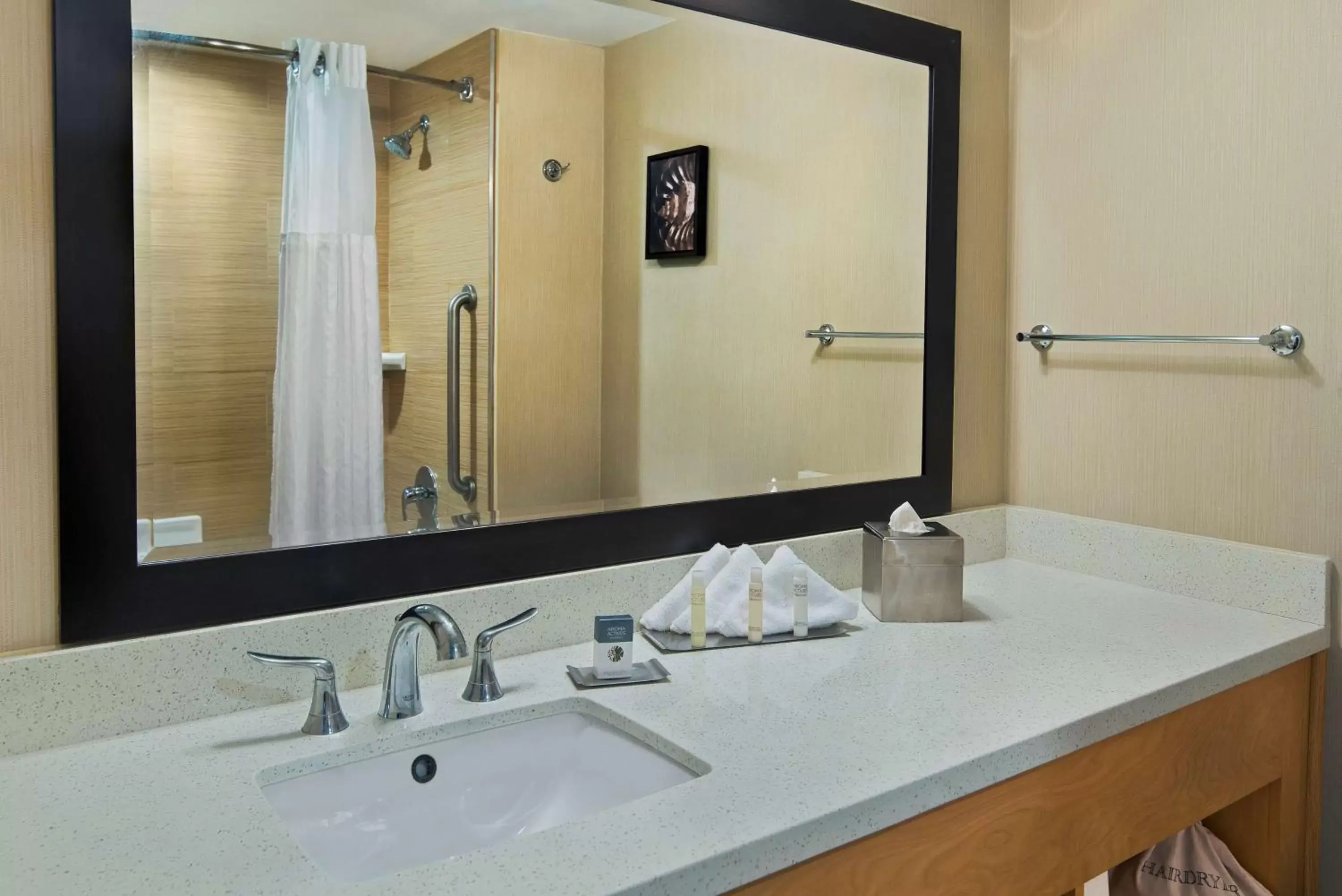 Bathroom in DoubleTree by Hilton San Pedro
