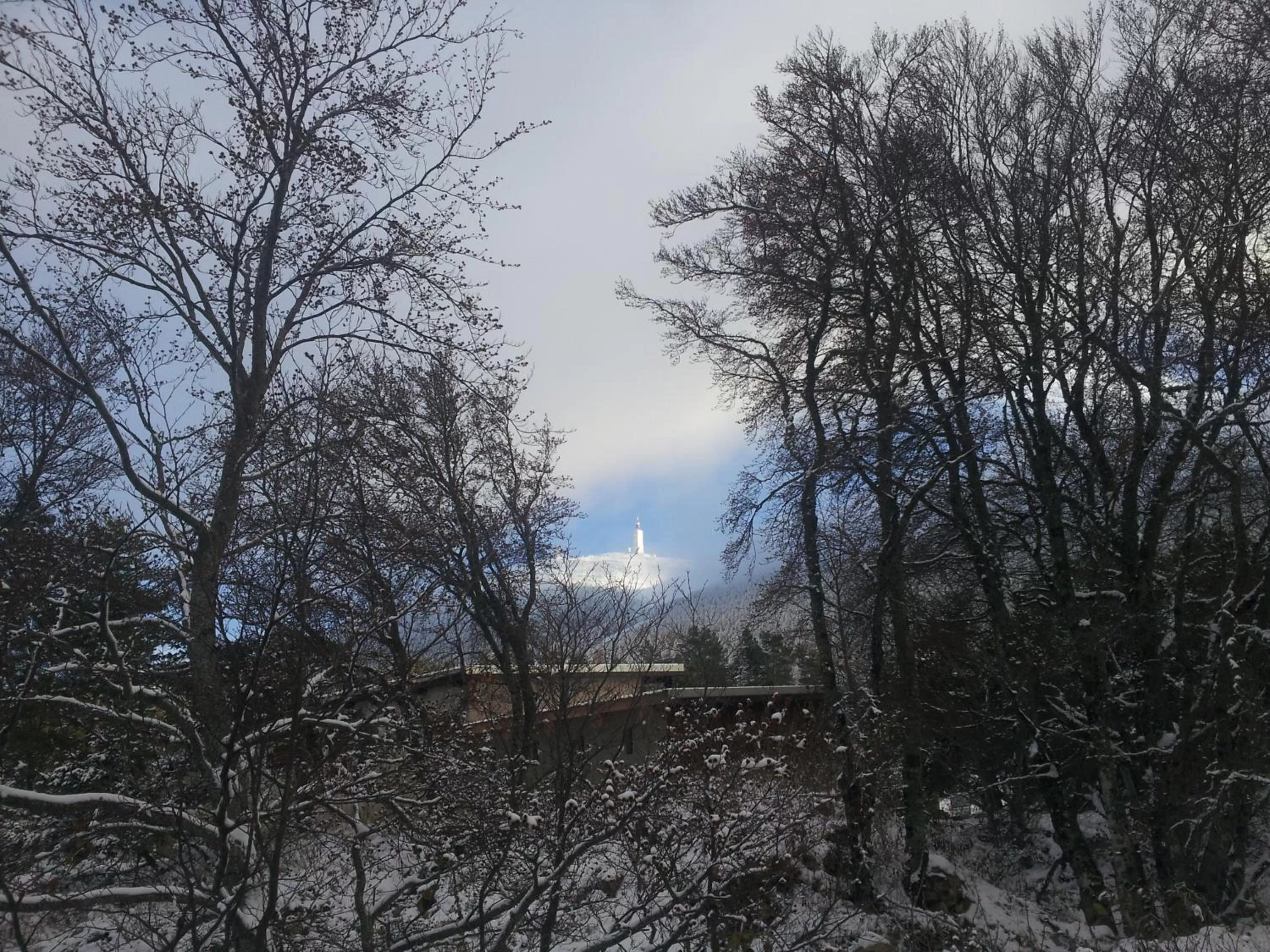 Winter in Chambres d'Hôtes Aux Tournesols