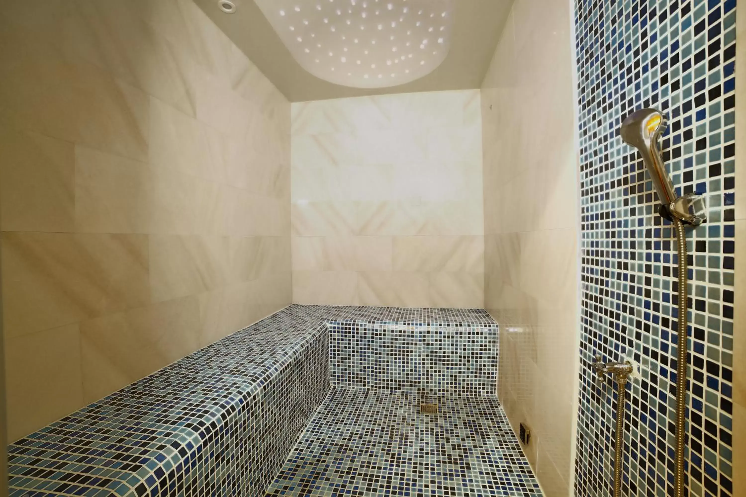 Steam room, Bathroom in Four Sides Taksim Lion Hotel&Spa